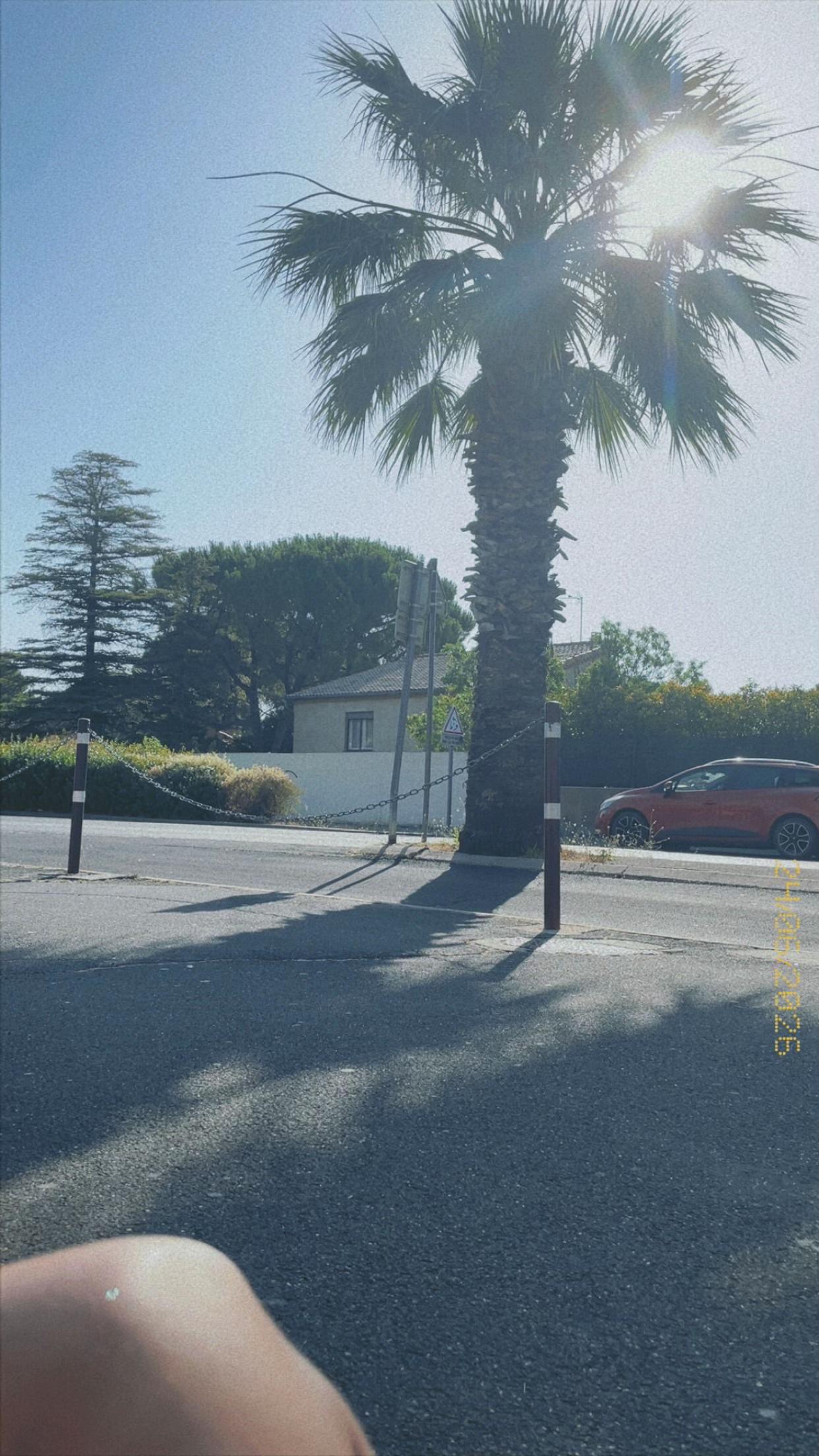@𝐴 𝐿 𝐼 𝐶 𝐼 𝐴 🪭