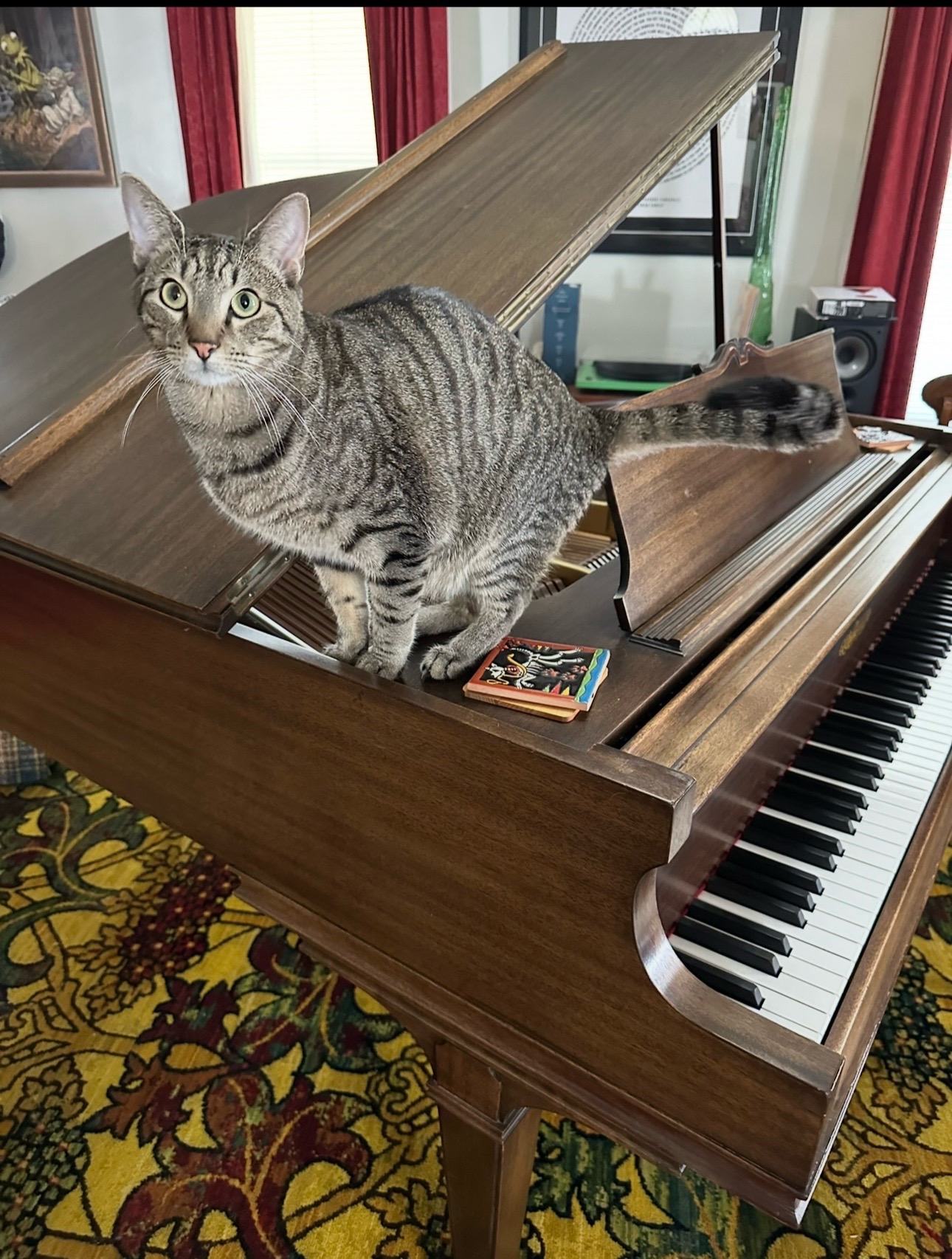 @PianoJordan - Jordan Siwek