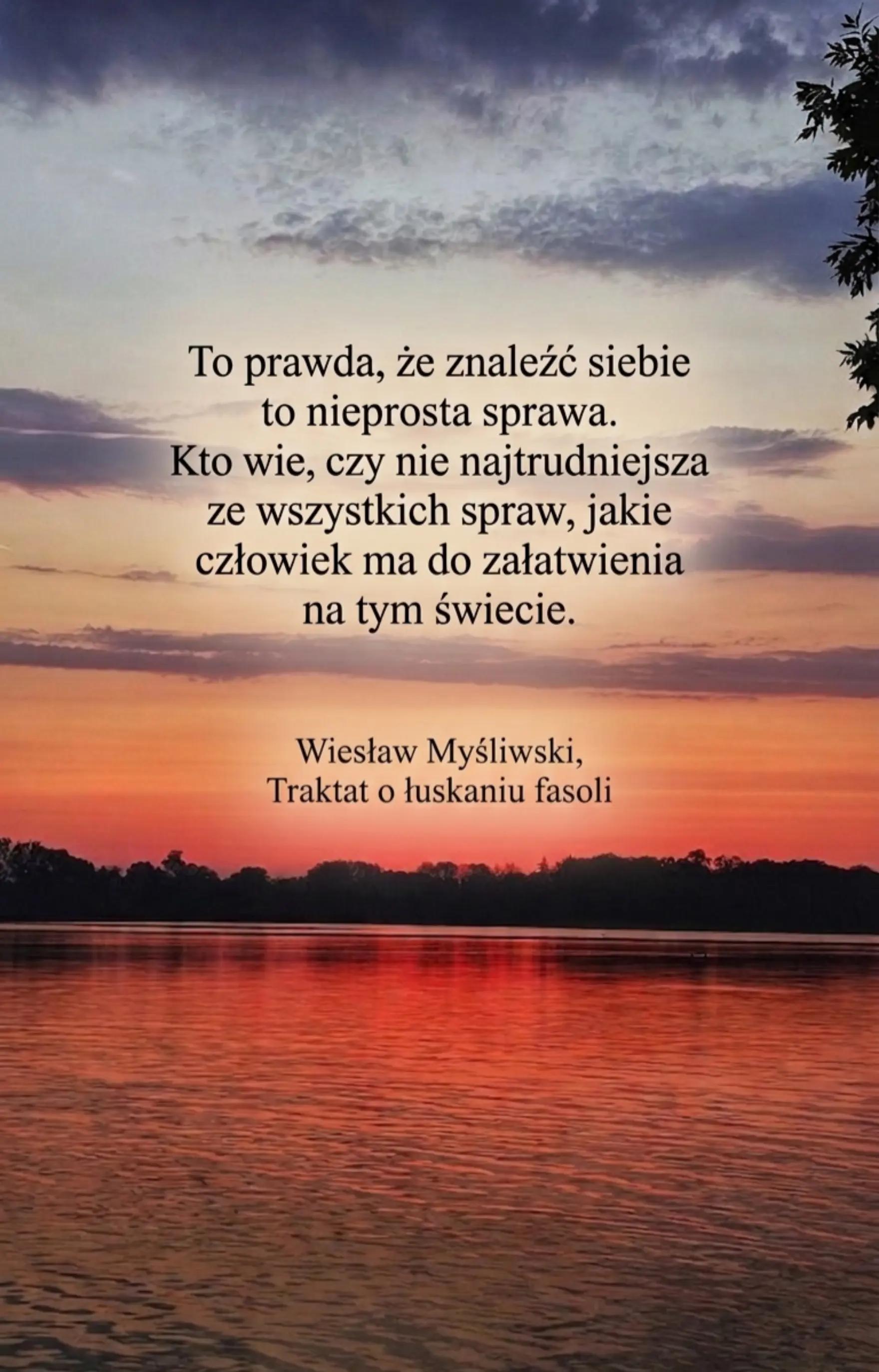 @justina_rozwalka.fotografia
