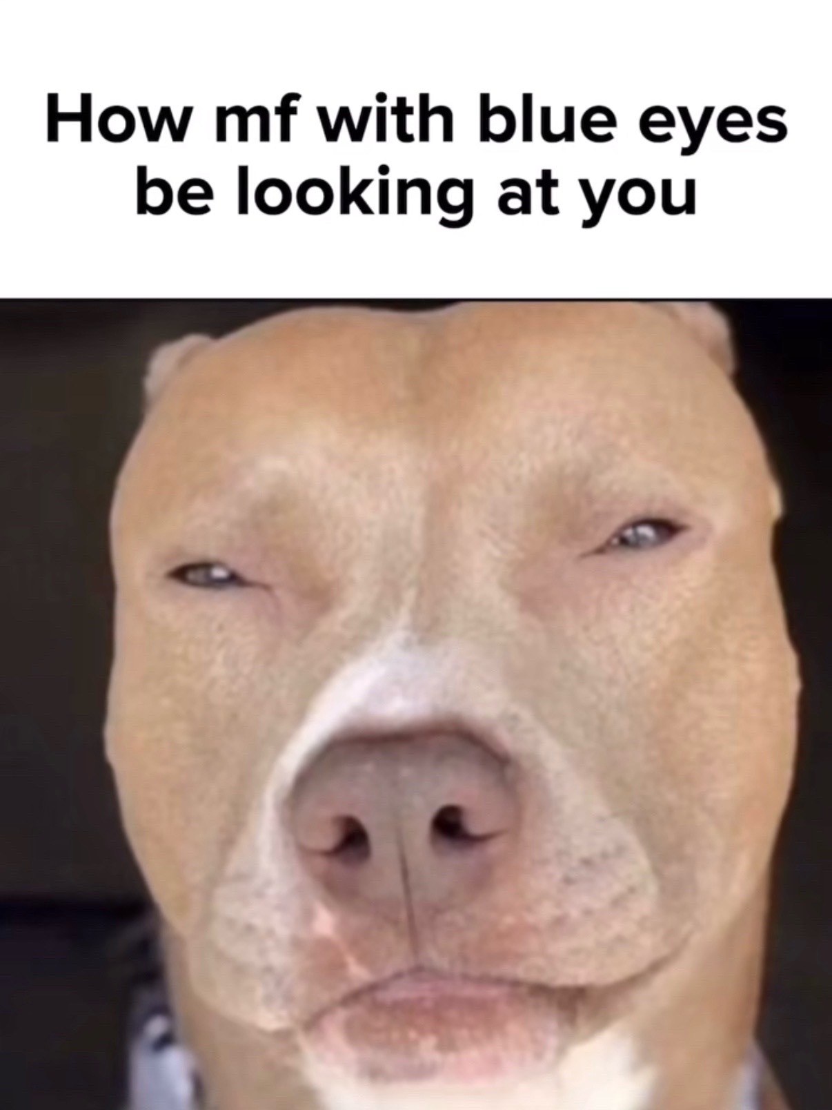 @⭐️⭐️⭐️⭐️⭐️