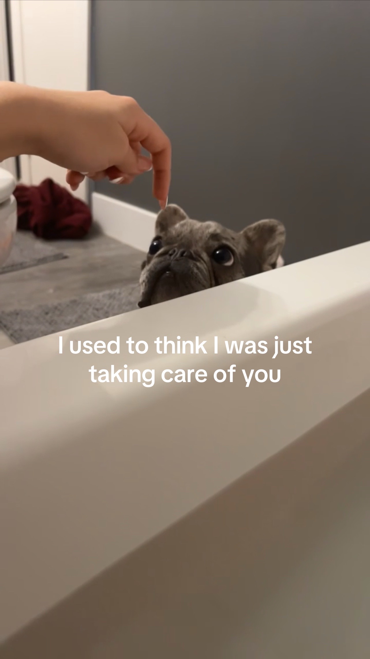 @2.0