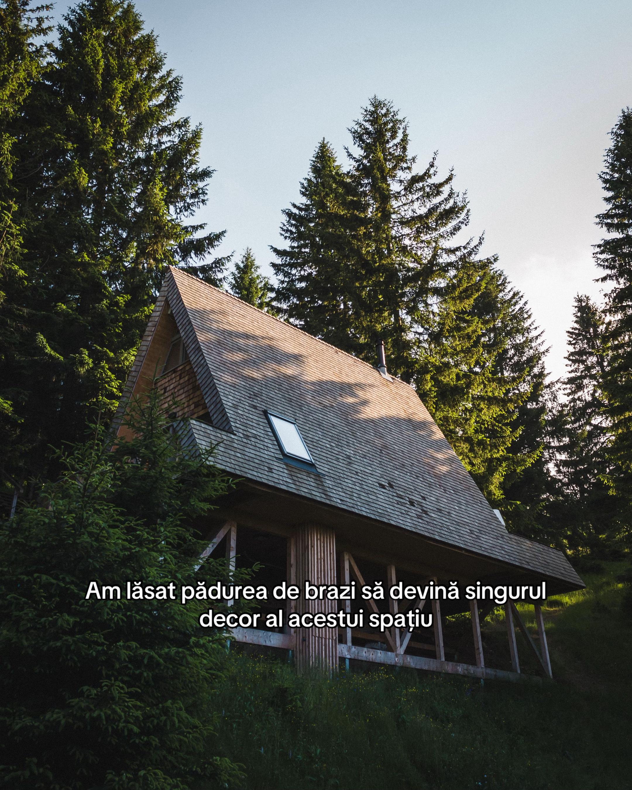 @Strajerii Verzi