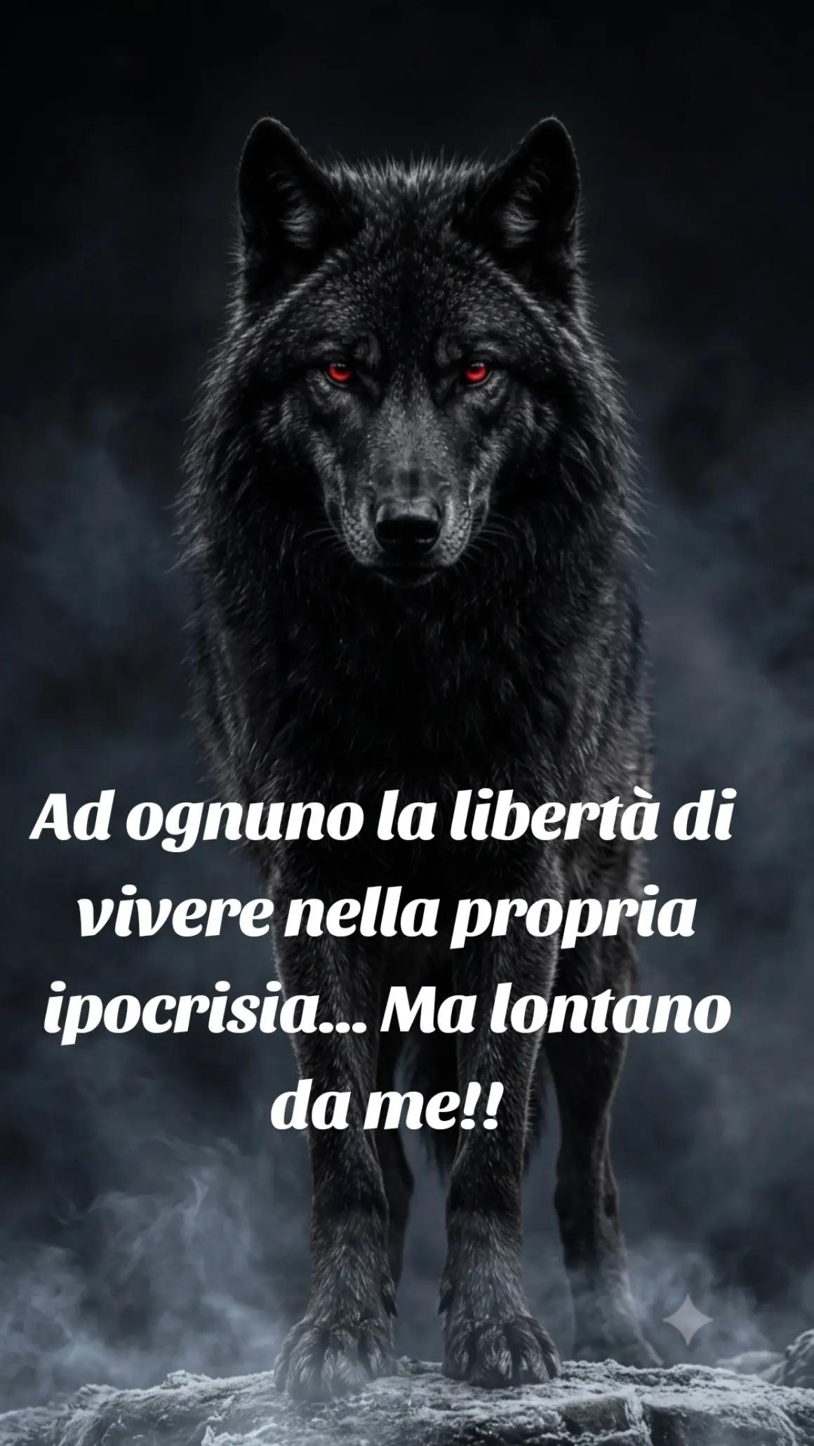 @🐺🗽Crazy Wolf.