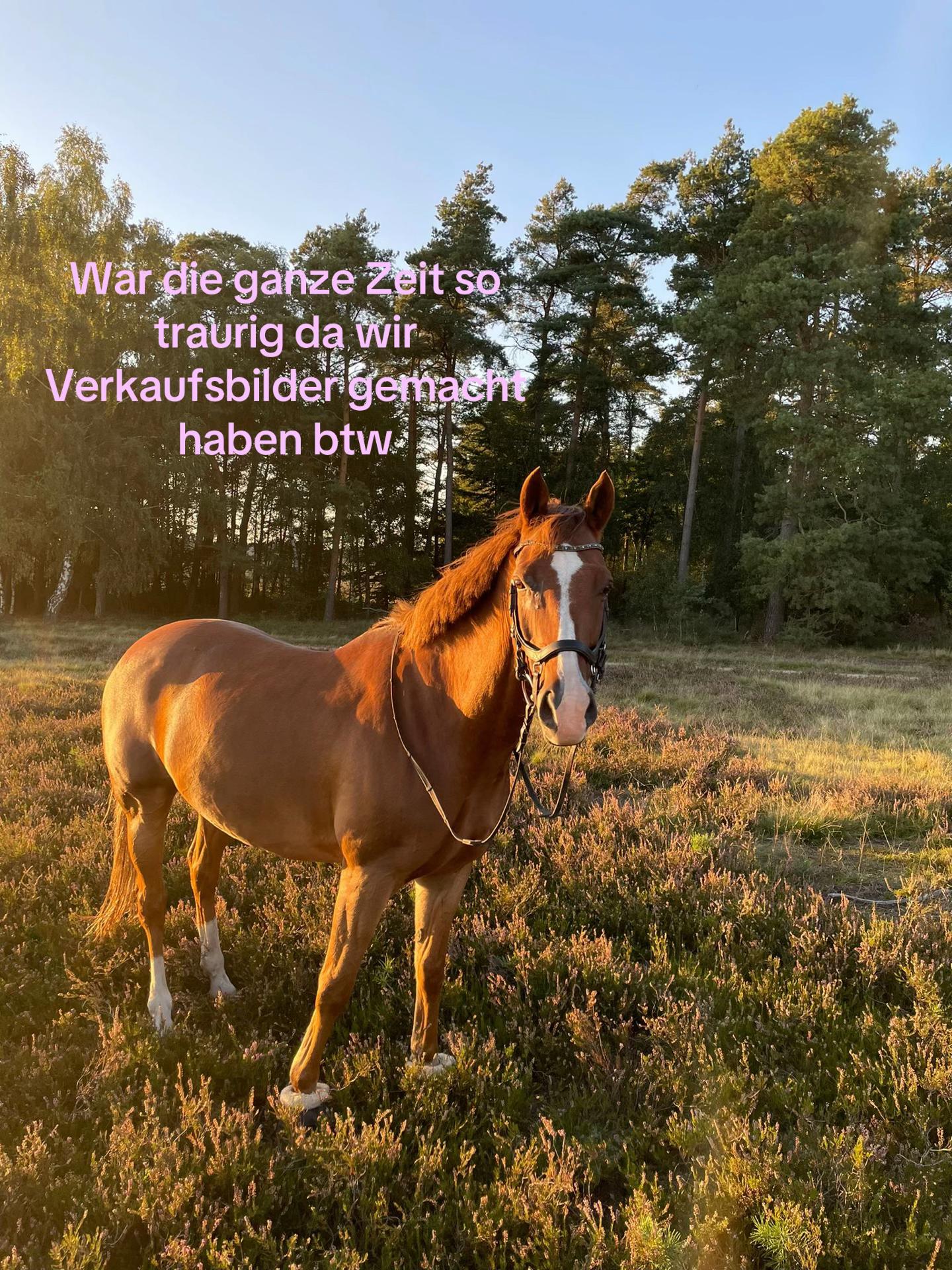 @Lolly und so