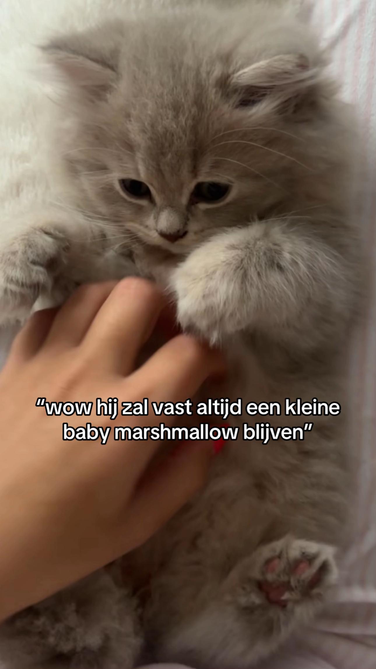 @Aukje🌱