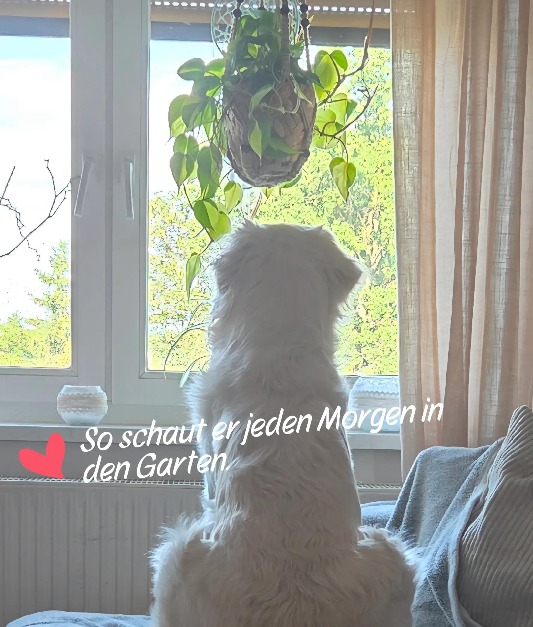 @MeinLeben-undich