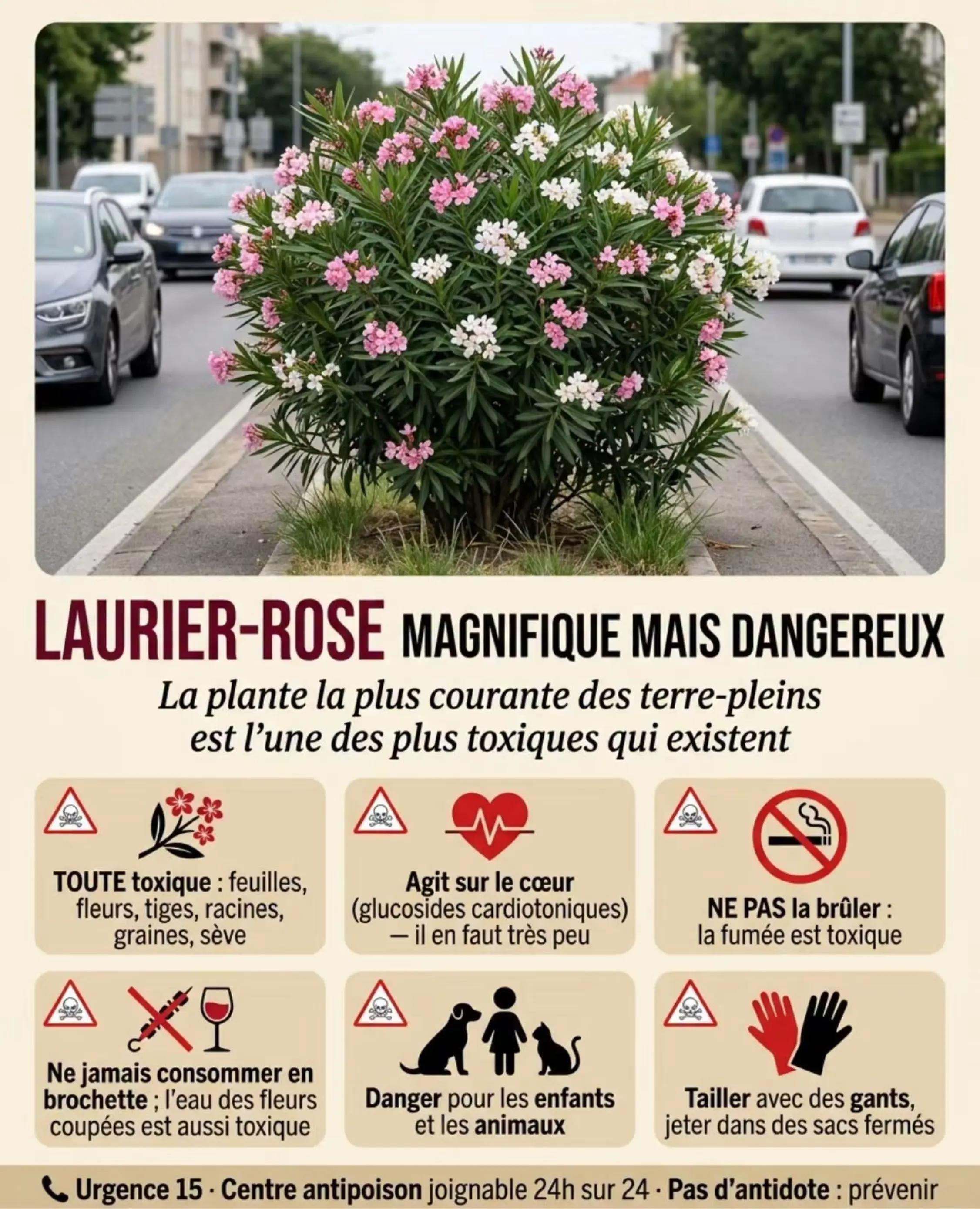 @L’Éphémère