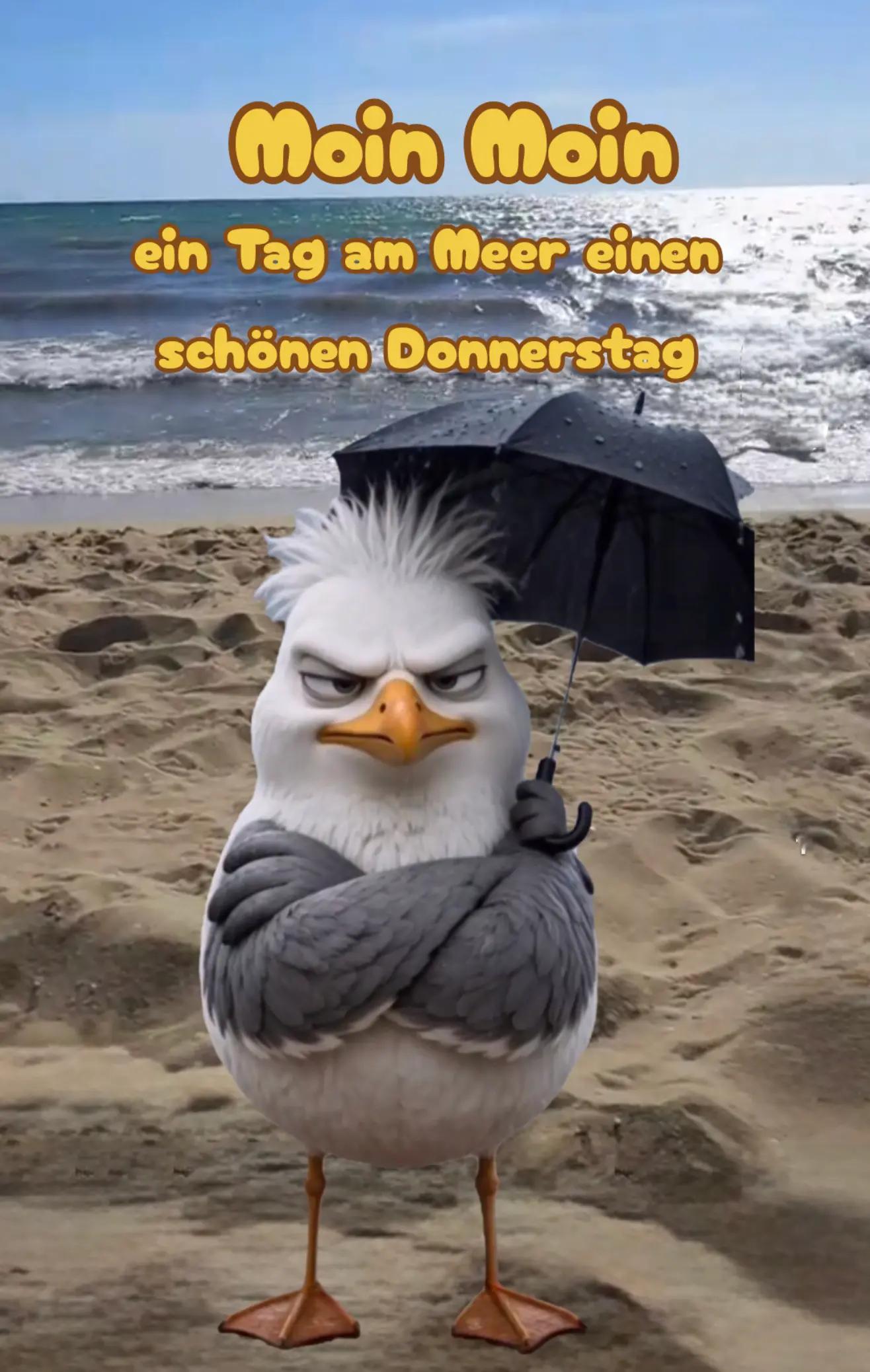 @geistlein12
