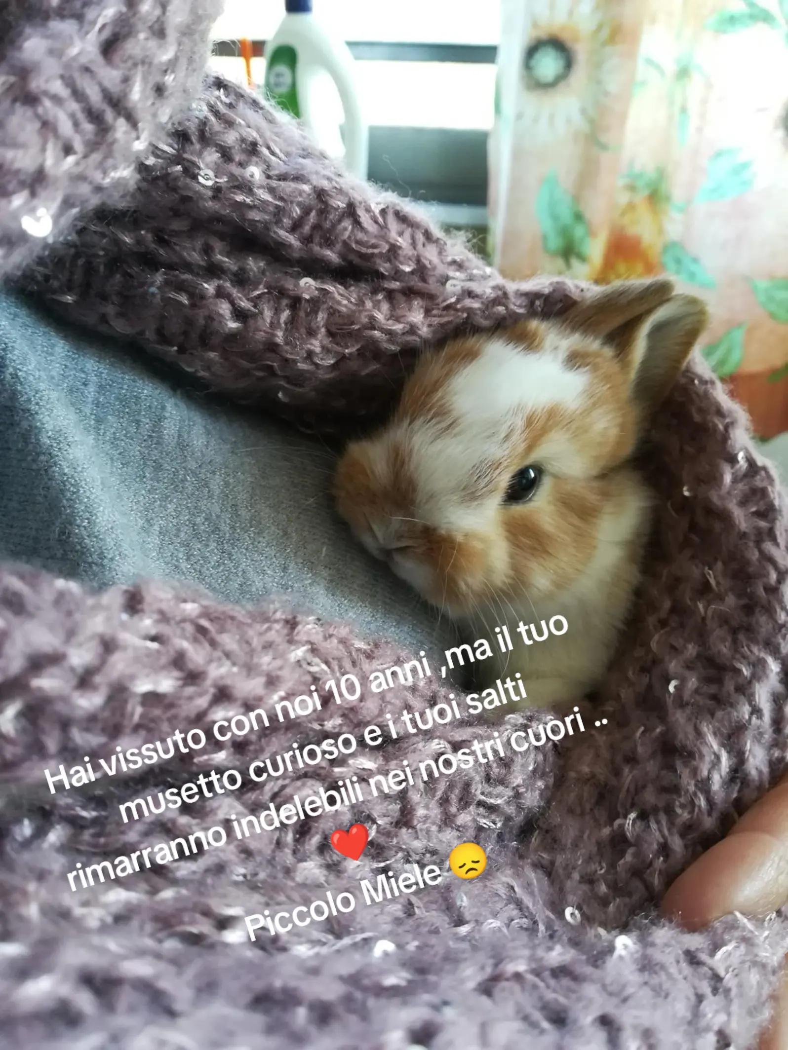 @Maria Giuffrida