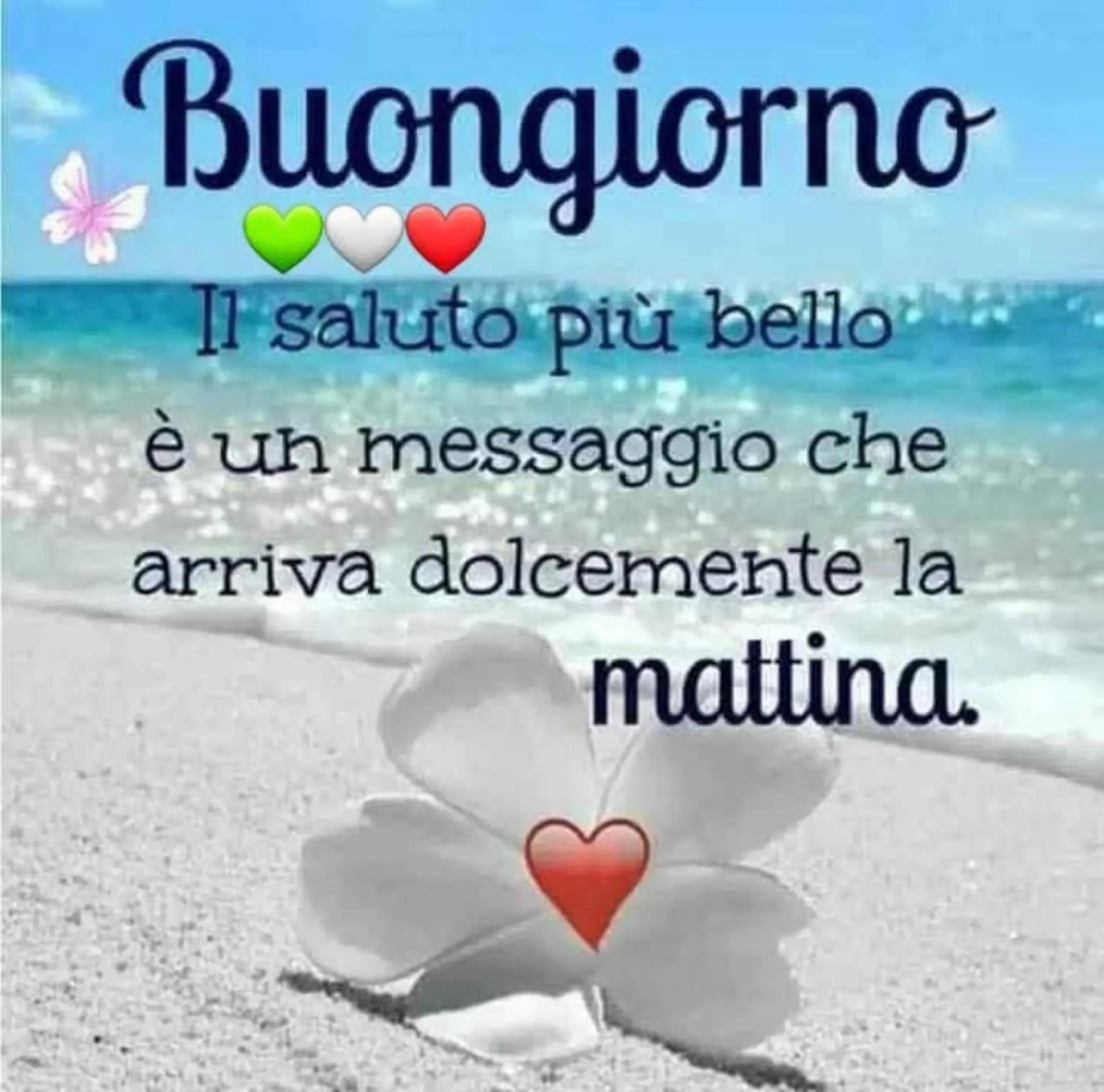 @giuseppedigenna11