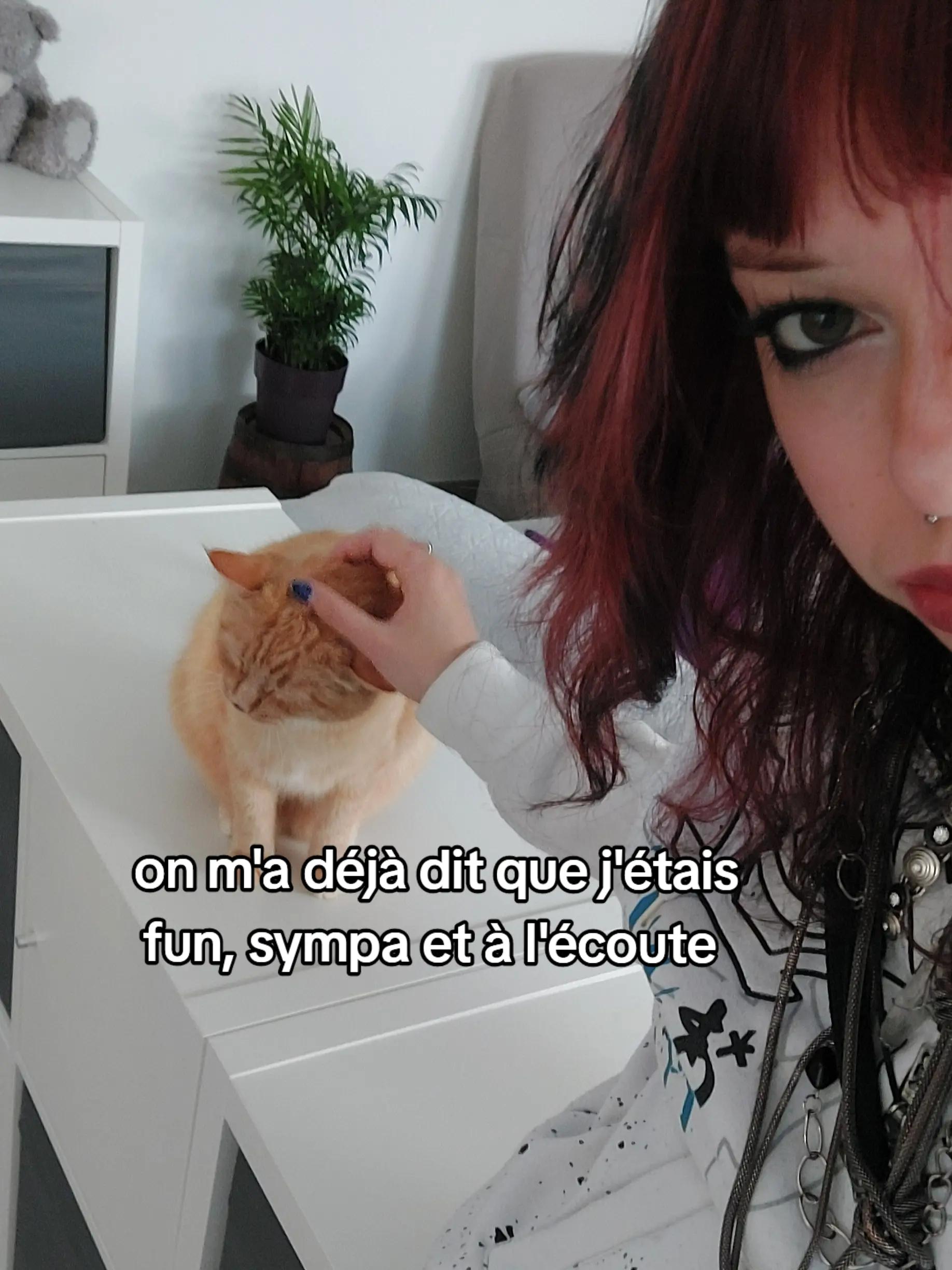 @seidie🪷