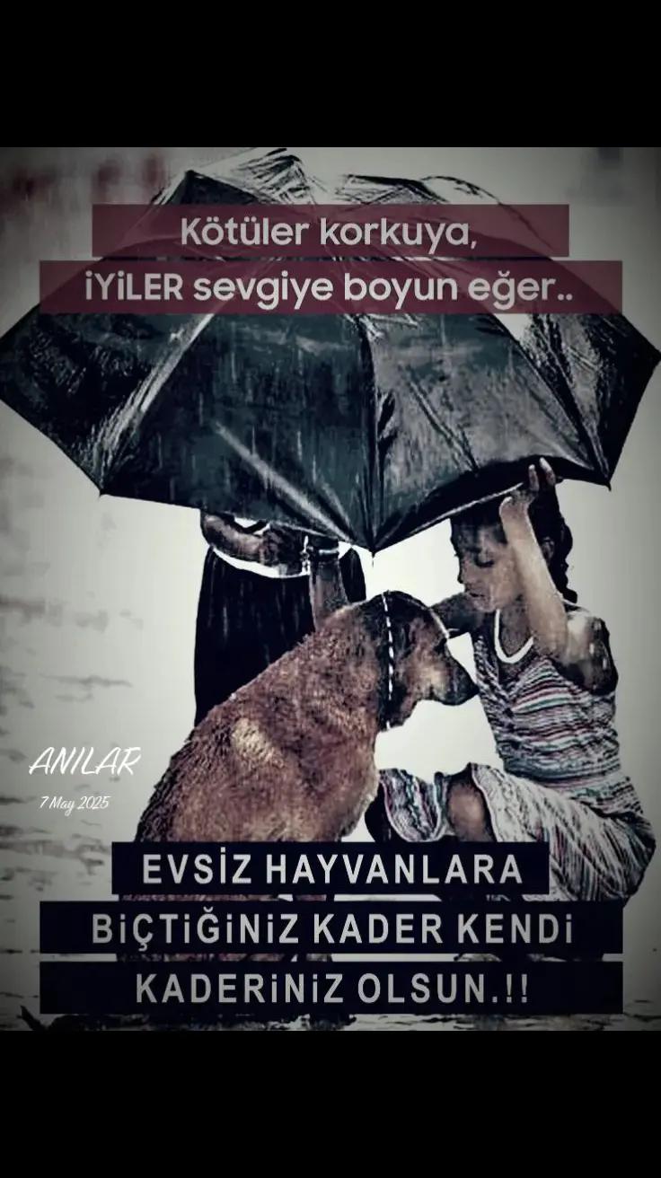 @Yorgun_01