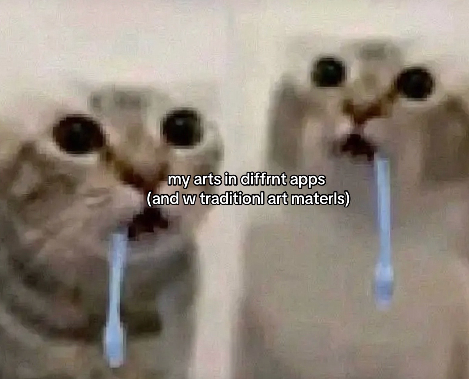 @Dai