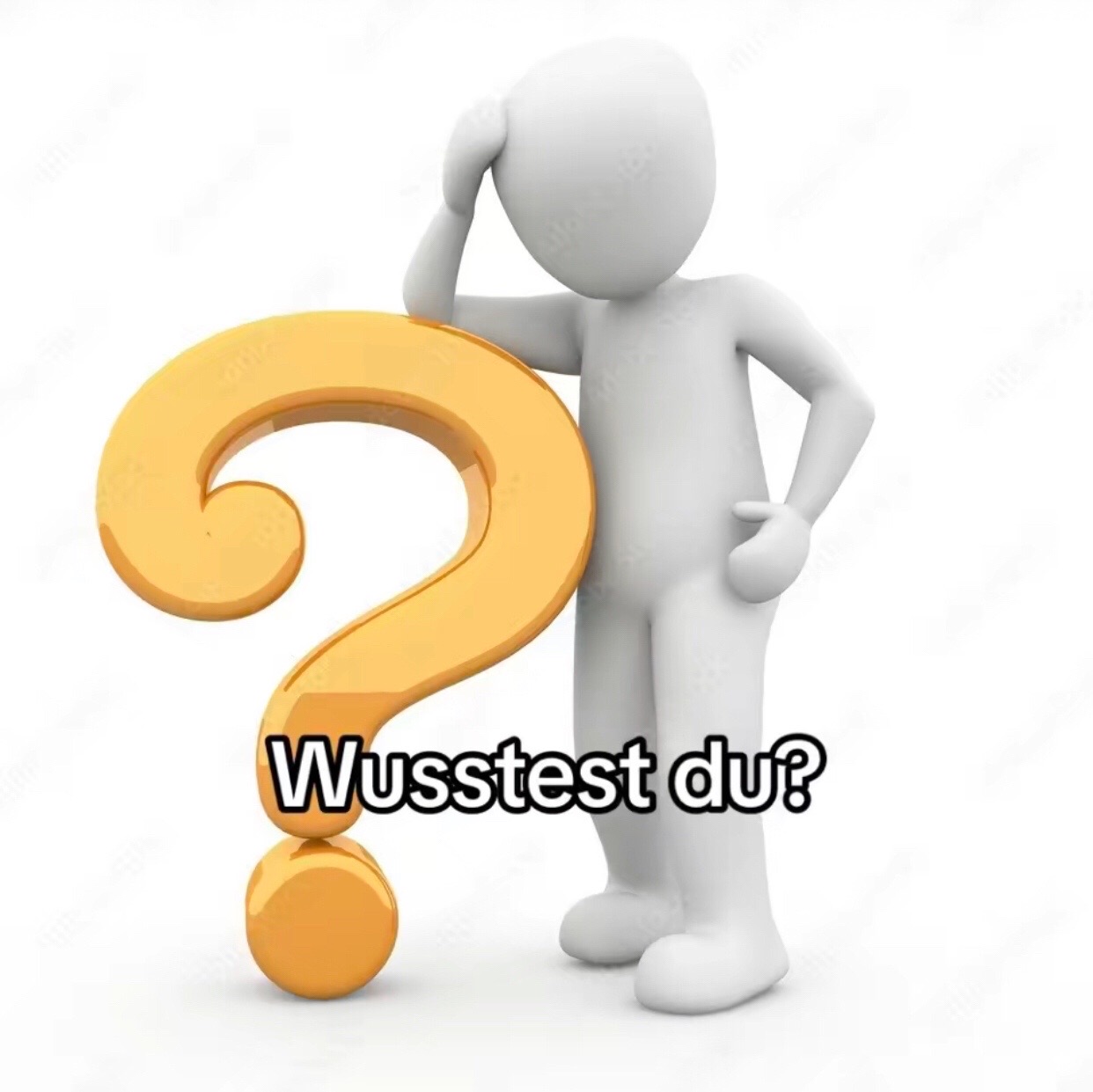 @wue_hood