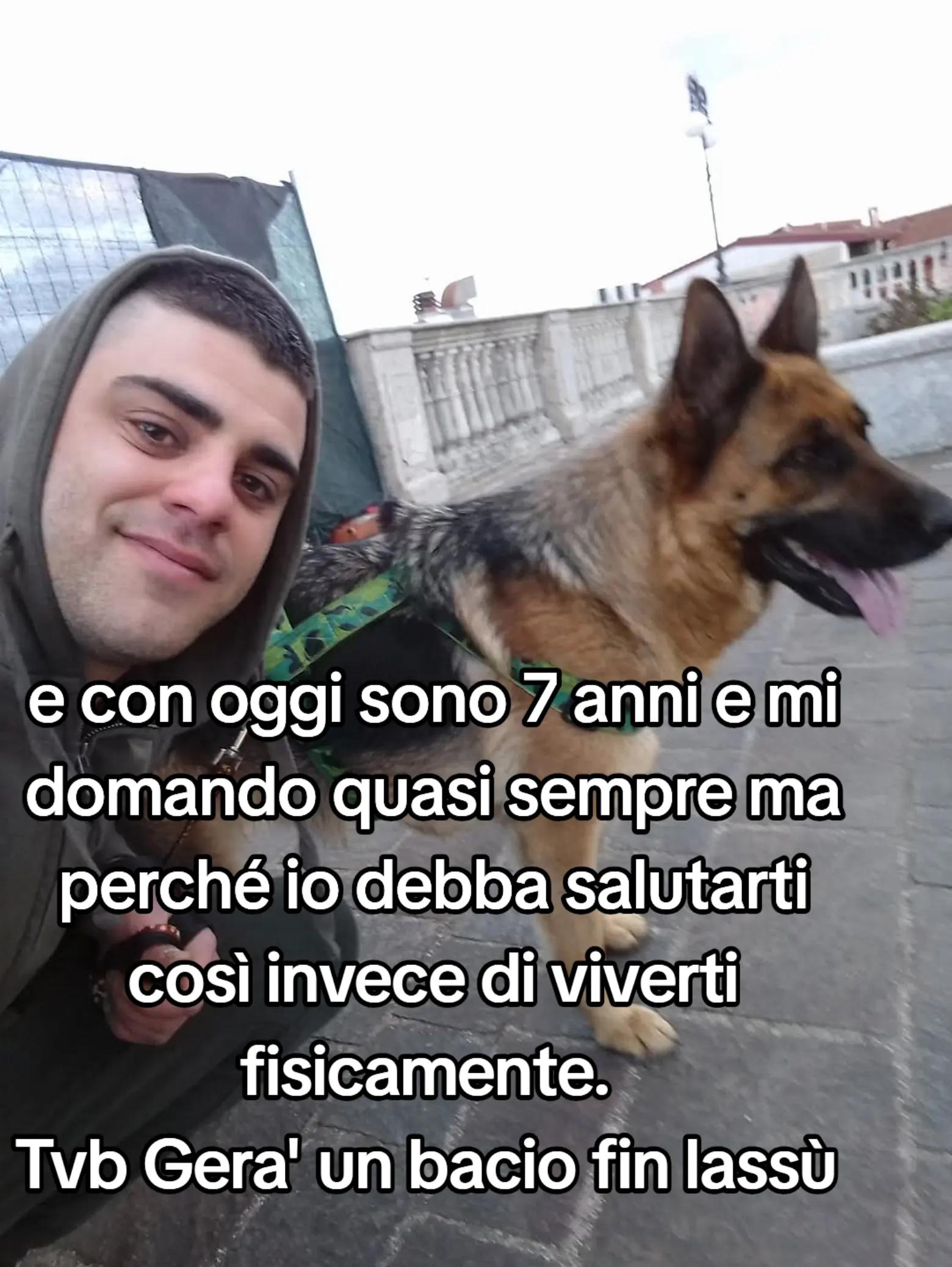 @CAMY