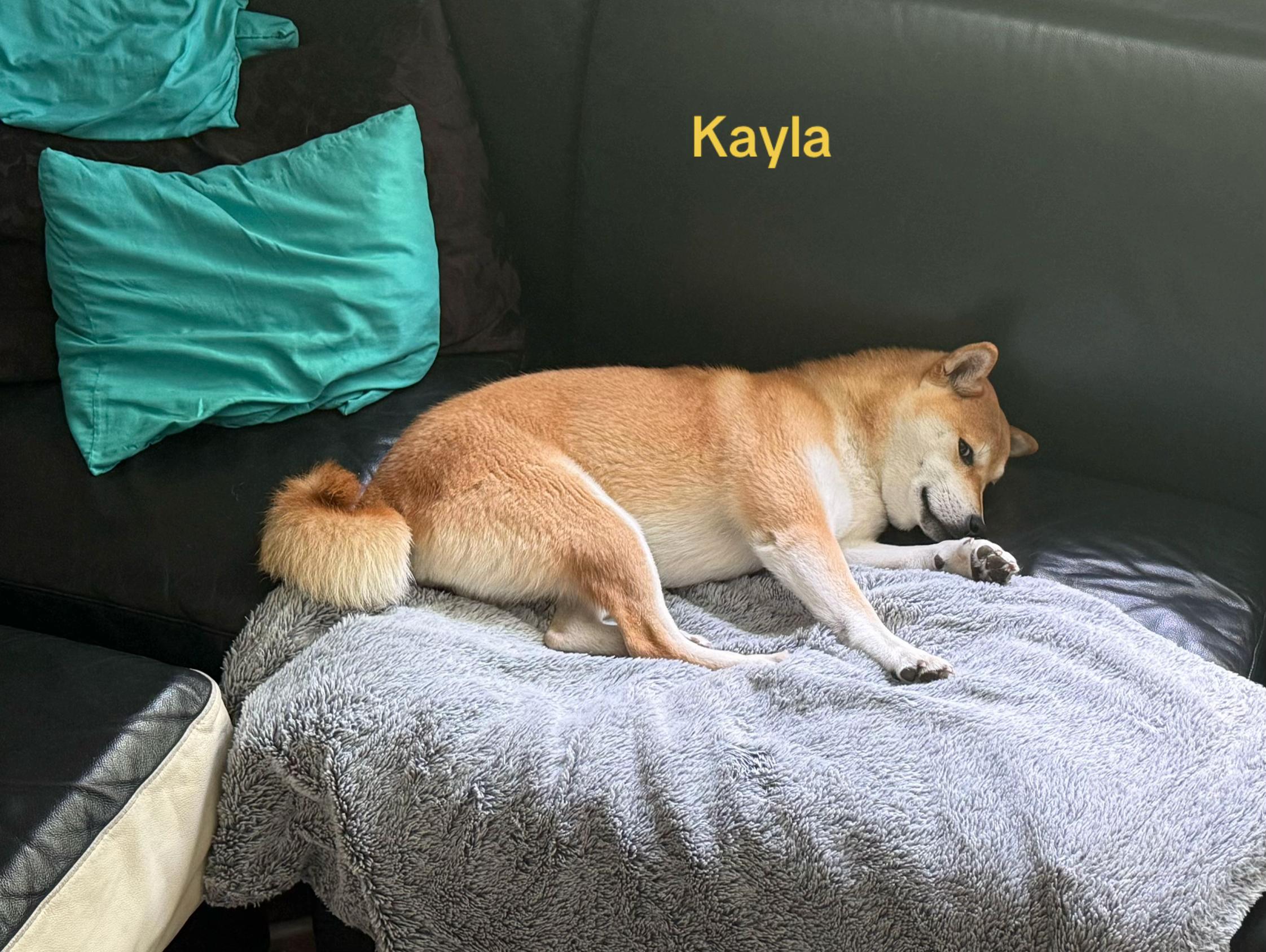 @Kayla