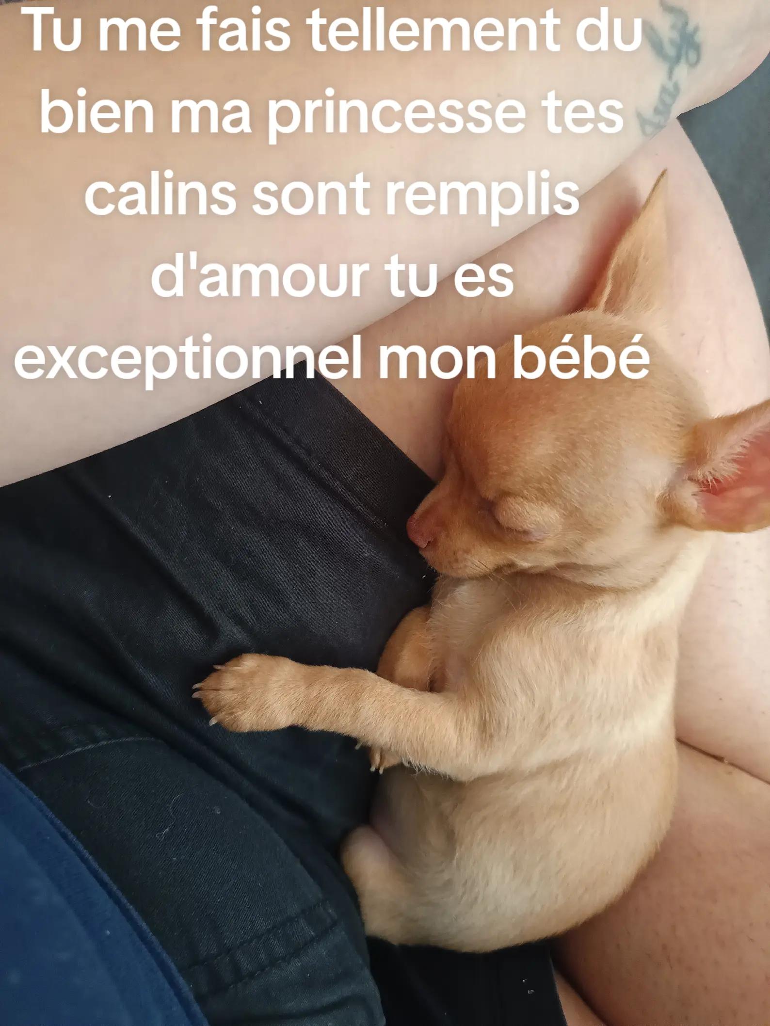 @skiipy ltns