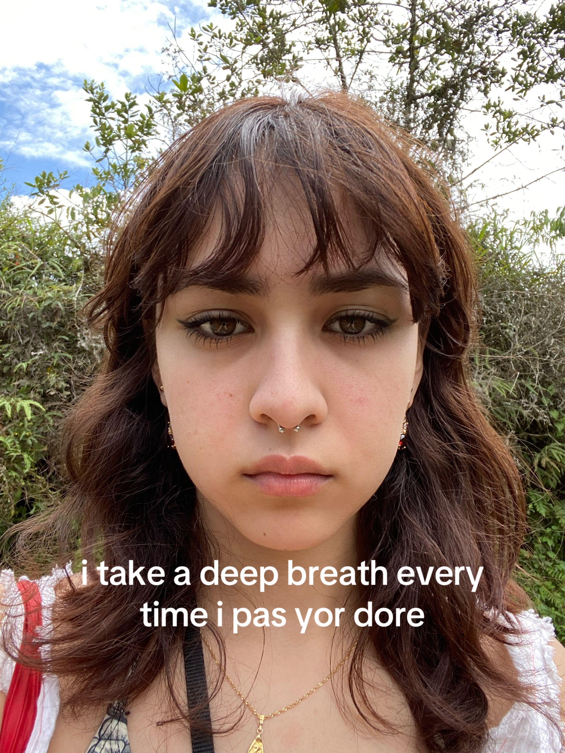 @ripfatbitchmegatron