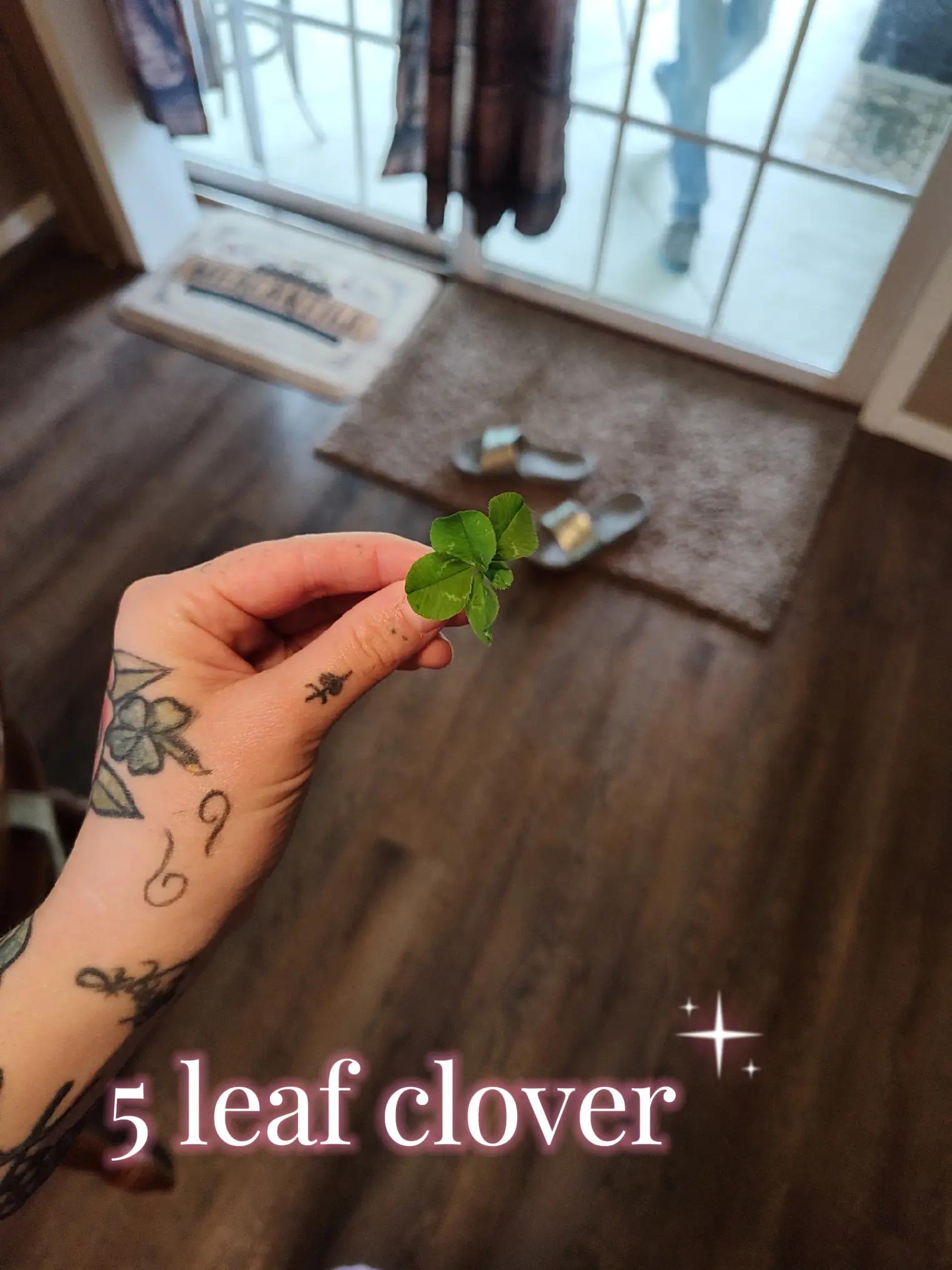 @🖤☘️L&uuml;ck&yuml;☘️🖤