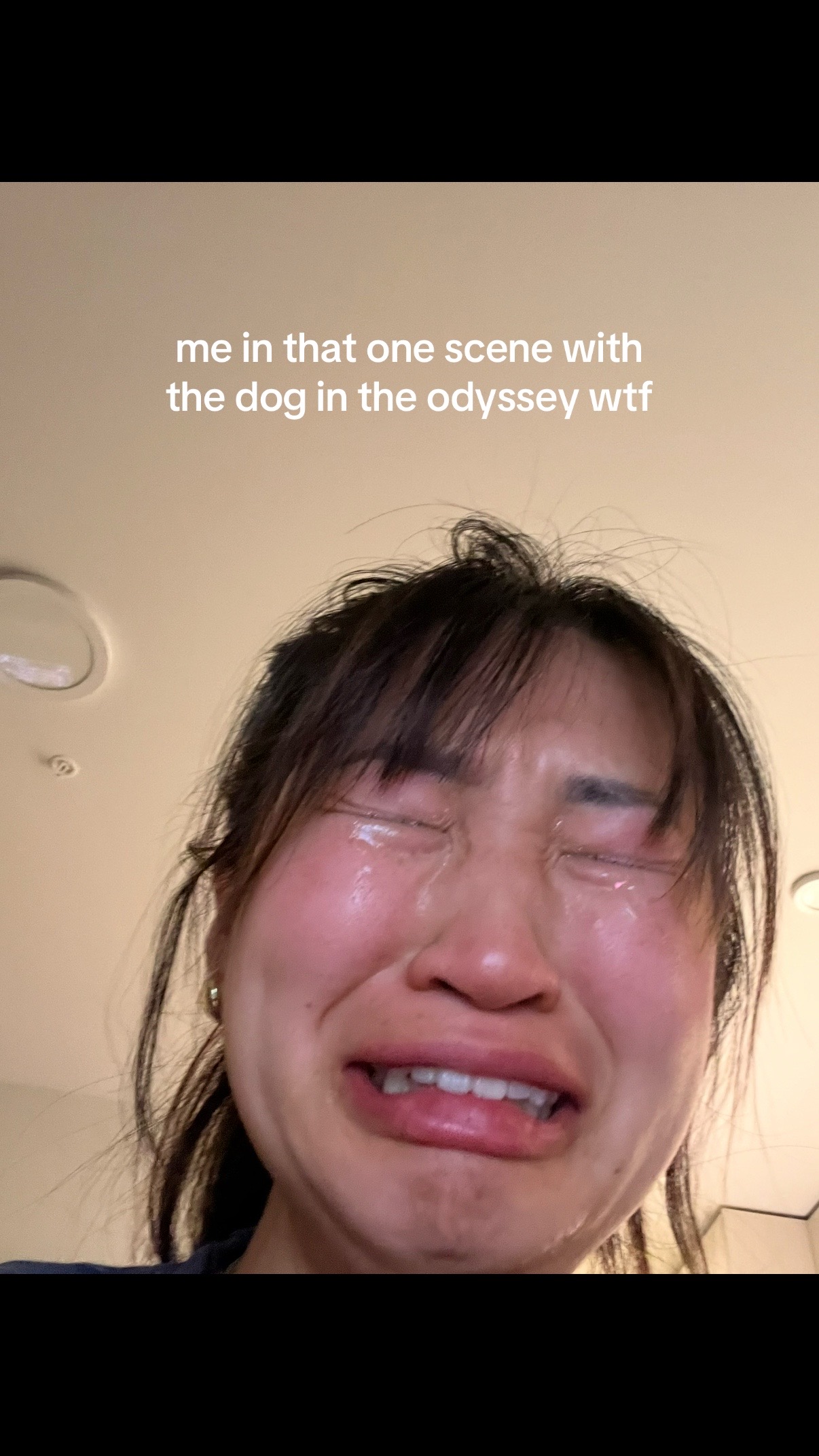@jemmi 🐧