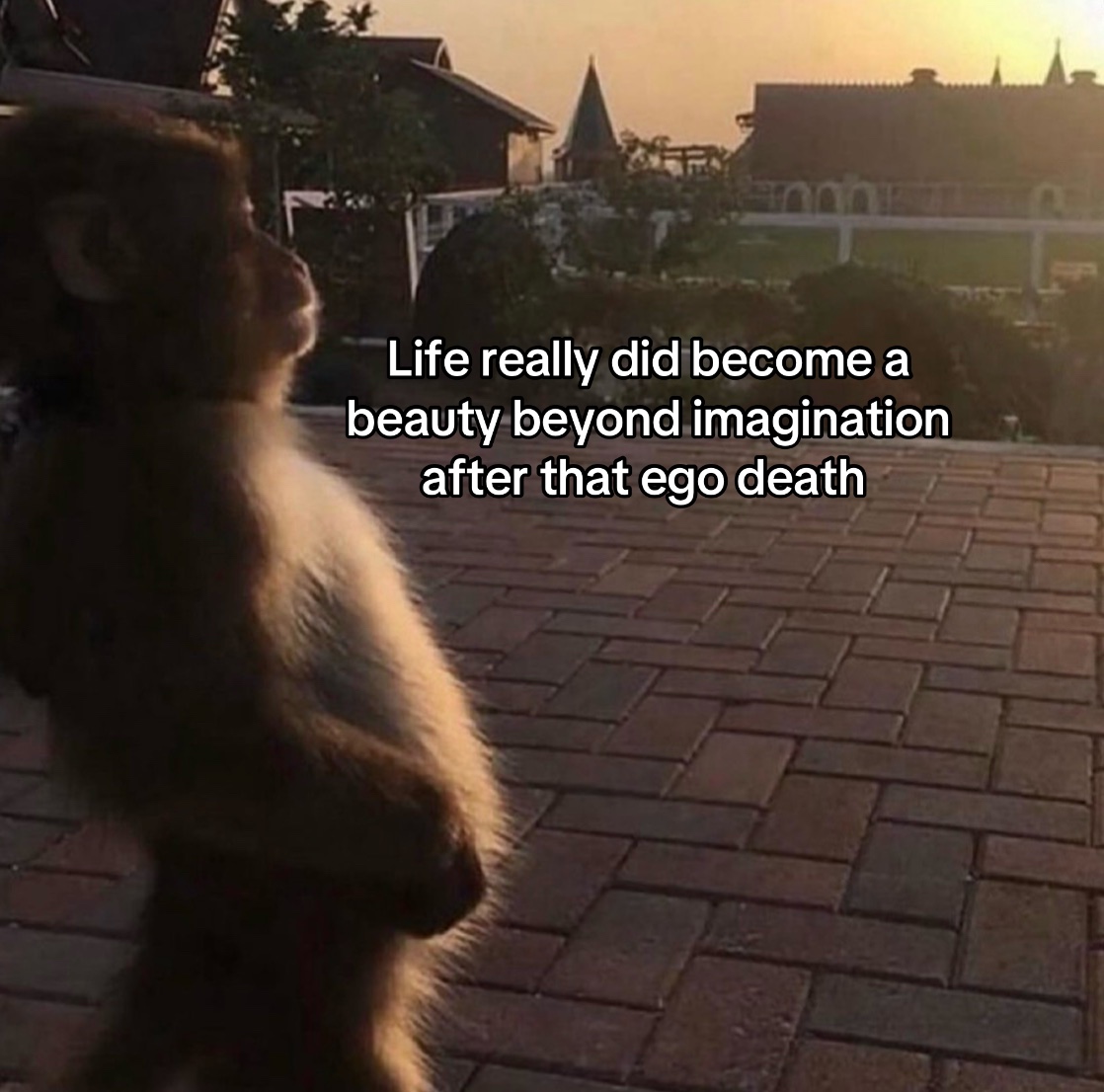 @EJ🧸