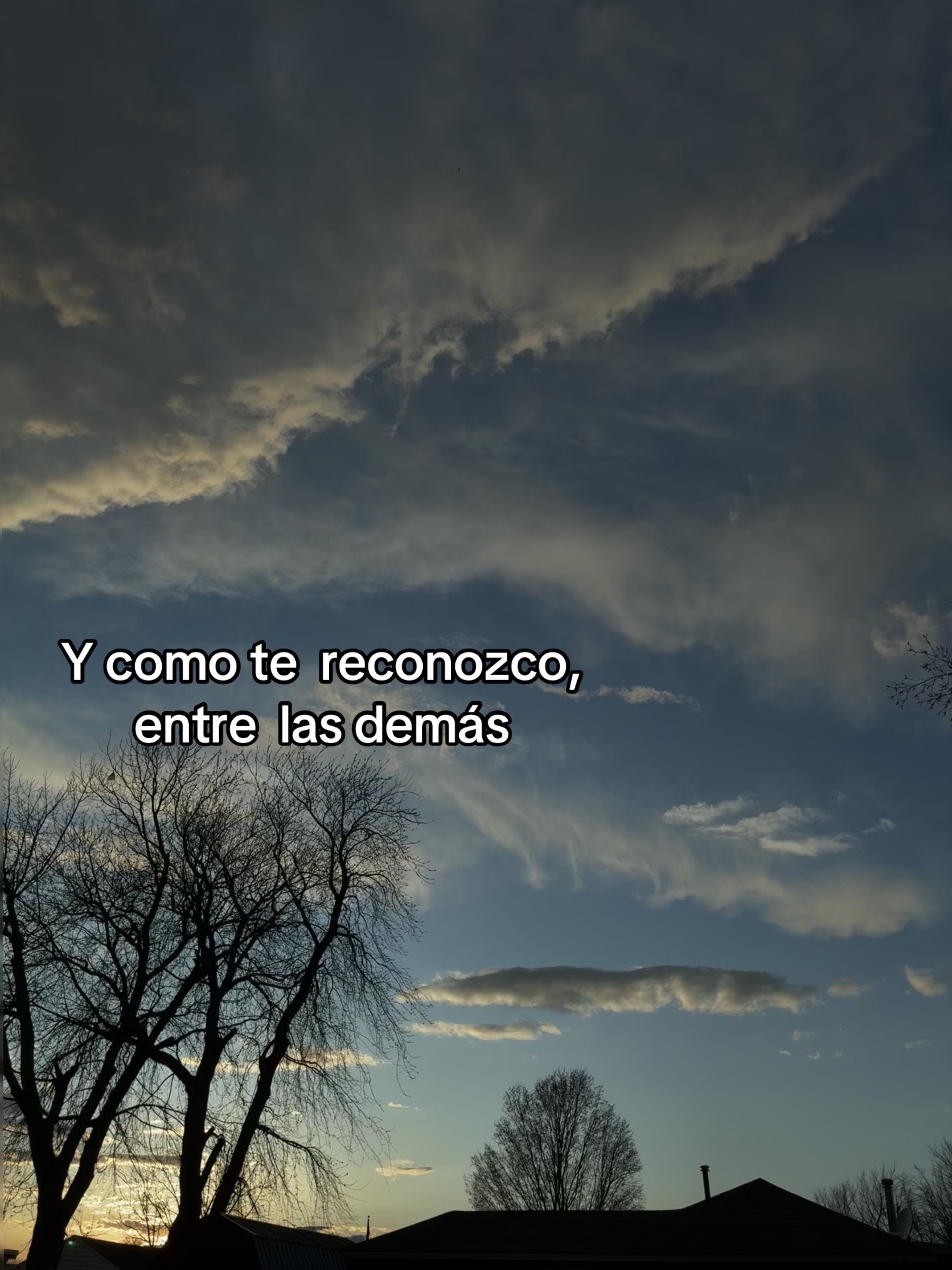 @Xvv.44