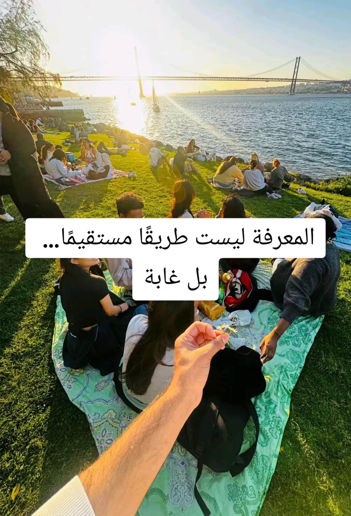 @IMMI