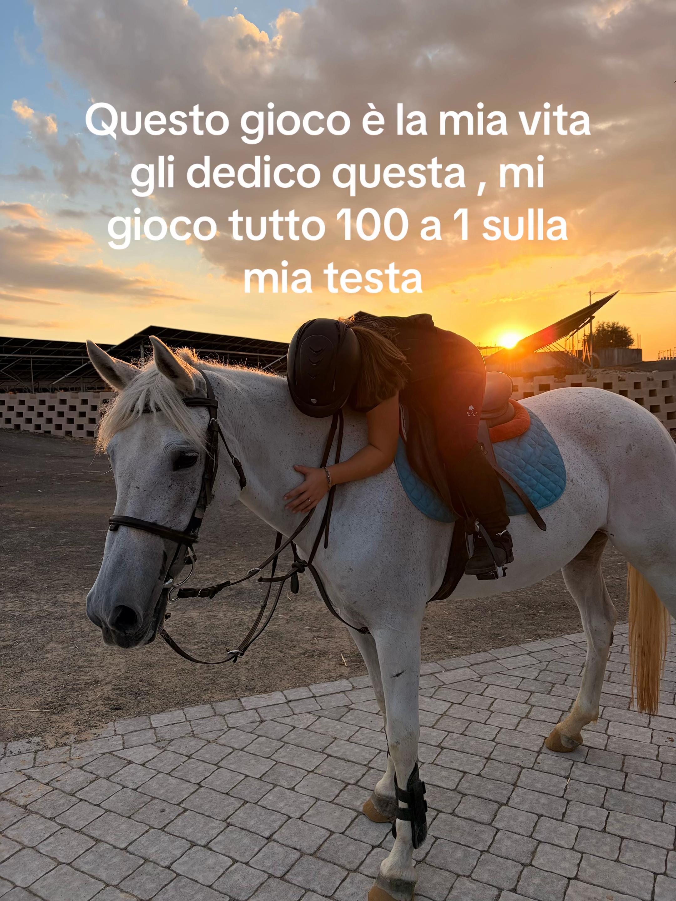 @Giulia