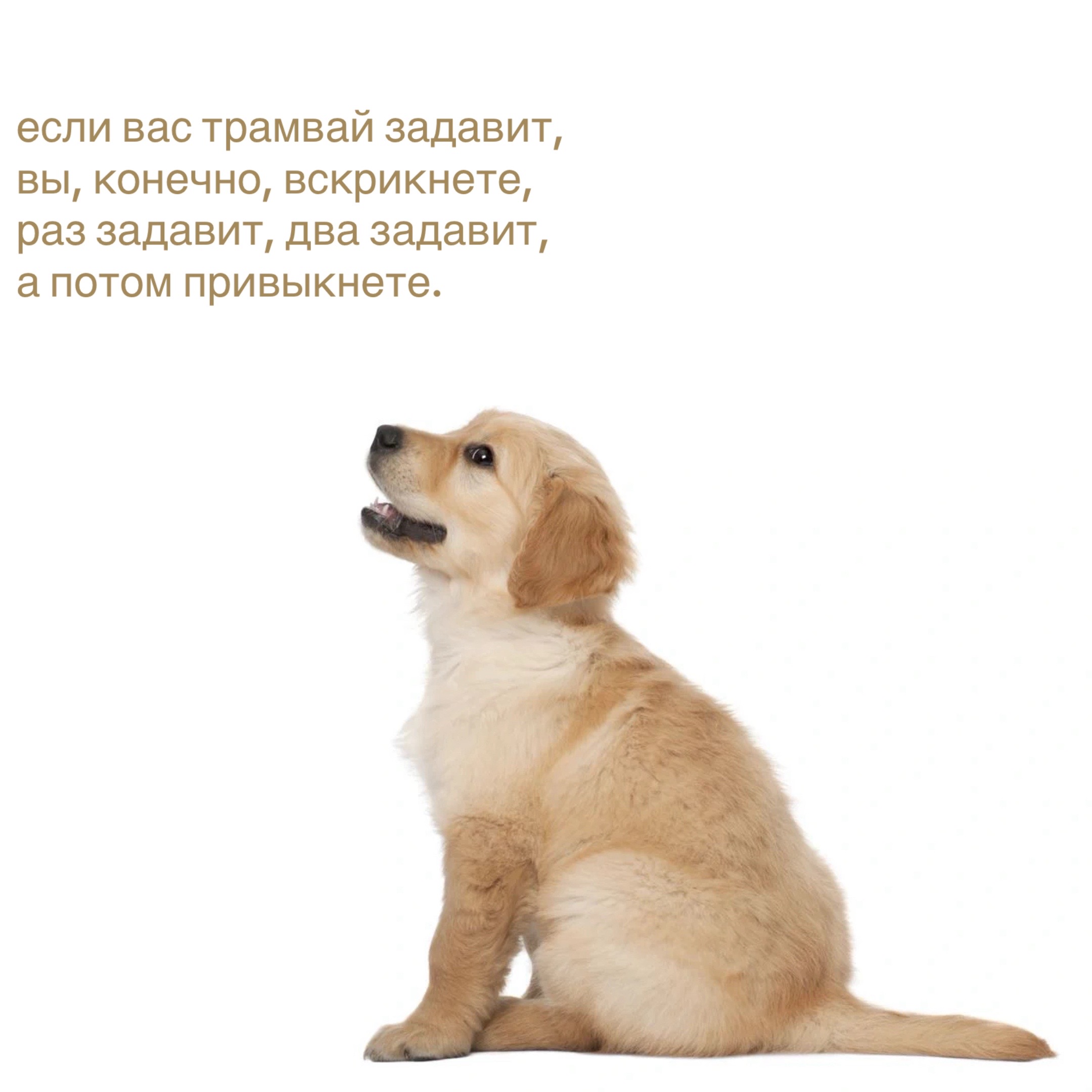 @𝗉𝖺𝗋𝖺𝗇𝗈𝗂𝖽 𝗌𝗁𝖺𝗆𝖾