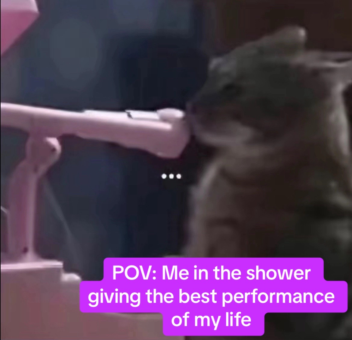 @㋛︎𝓜𝓸𝔁𝔁𝓲𝓮㋛︎