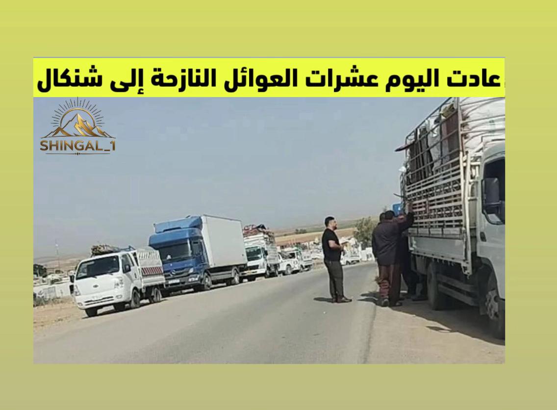 @shingal_1