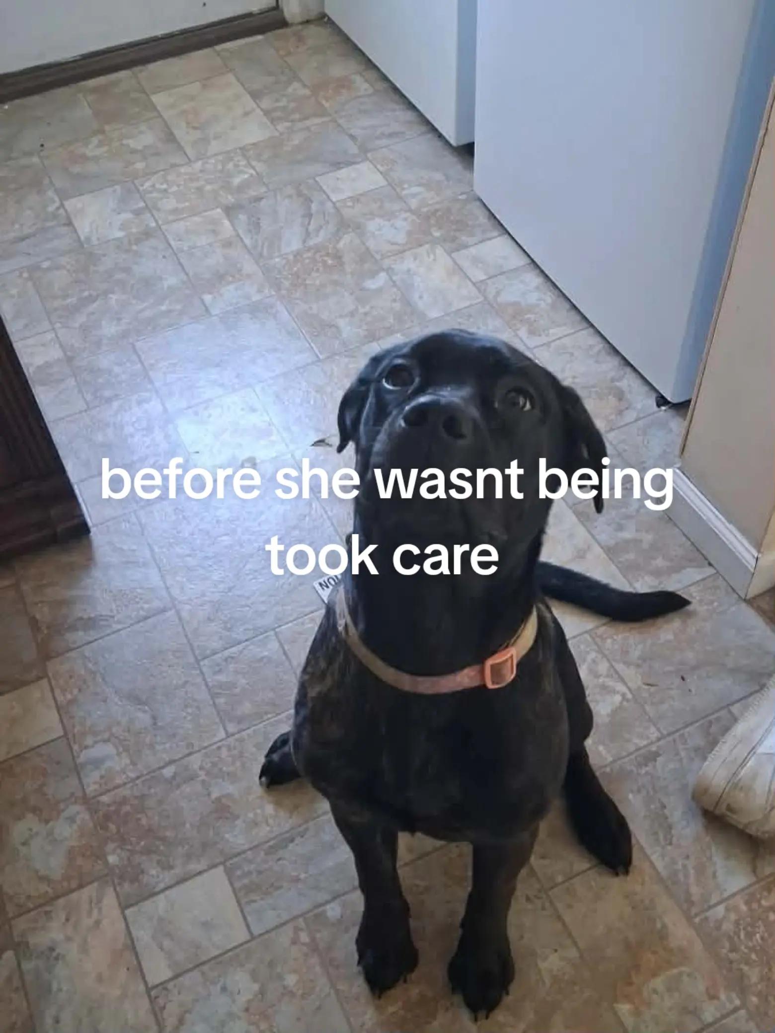 @Family Guys Wife