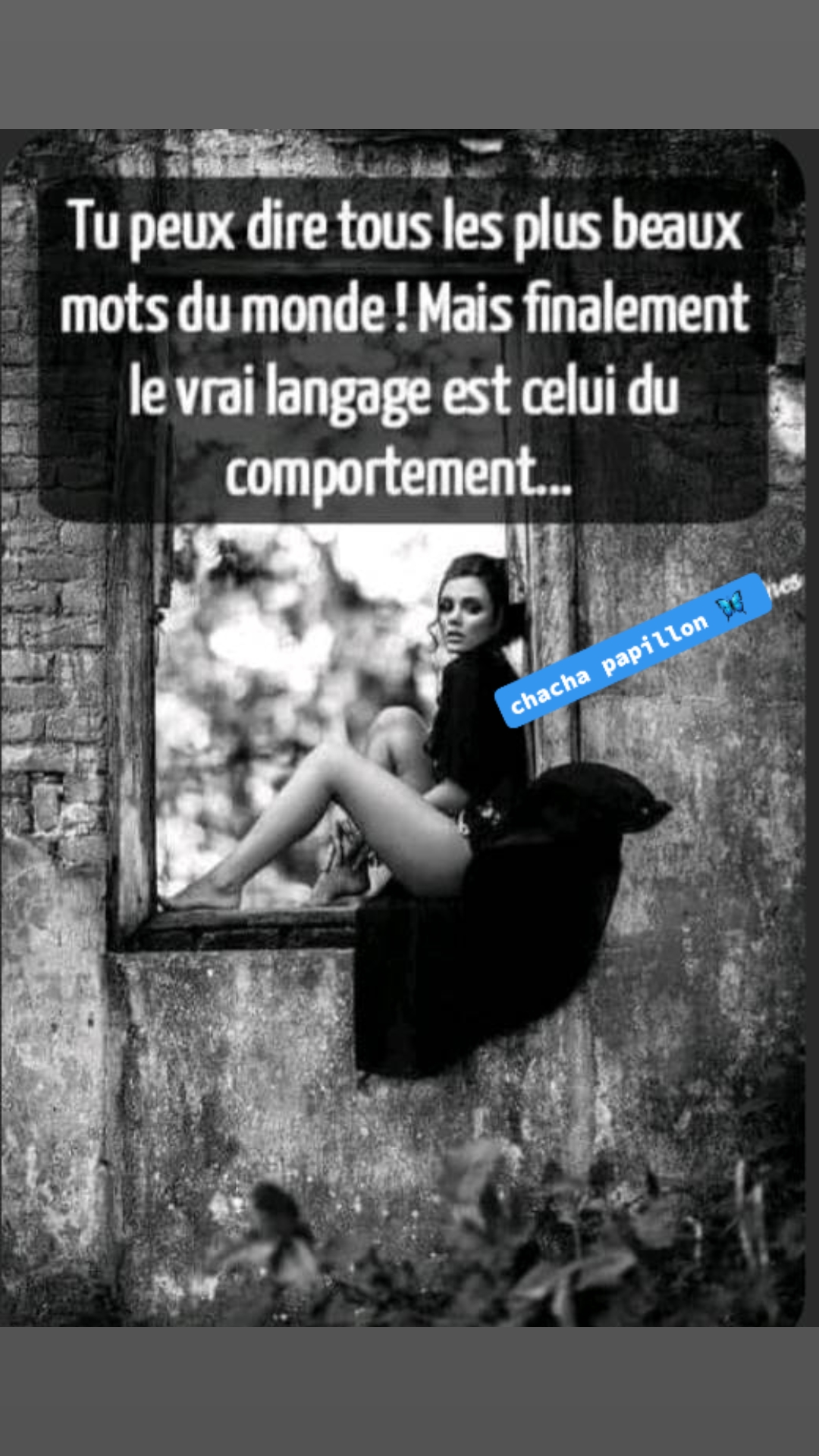 @🦋ℙ𝔸ℙ𝕀𝕃𝕃𝕆ℕ🦋