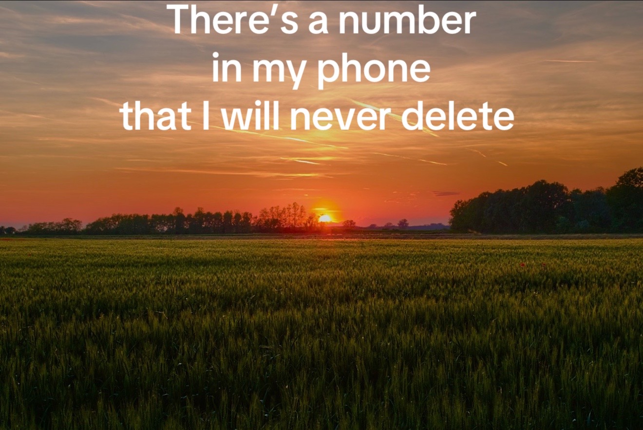 @Netta