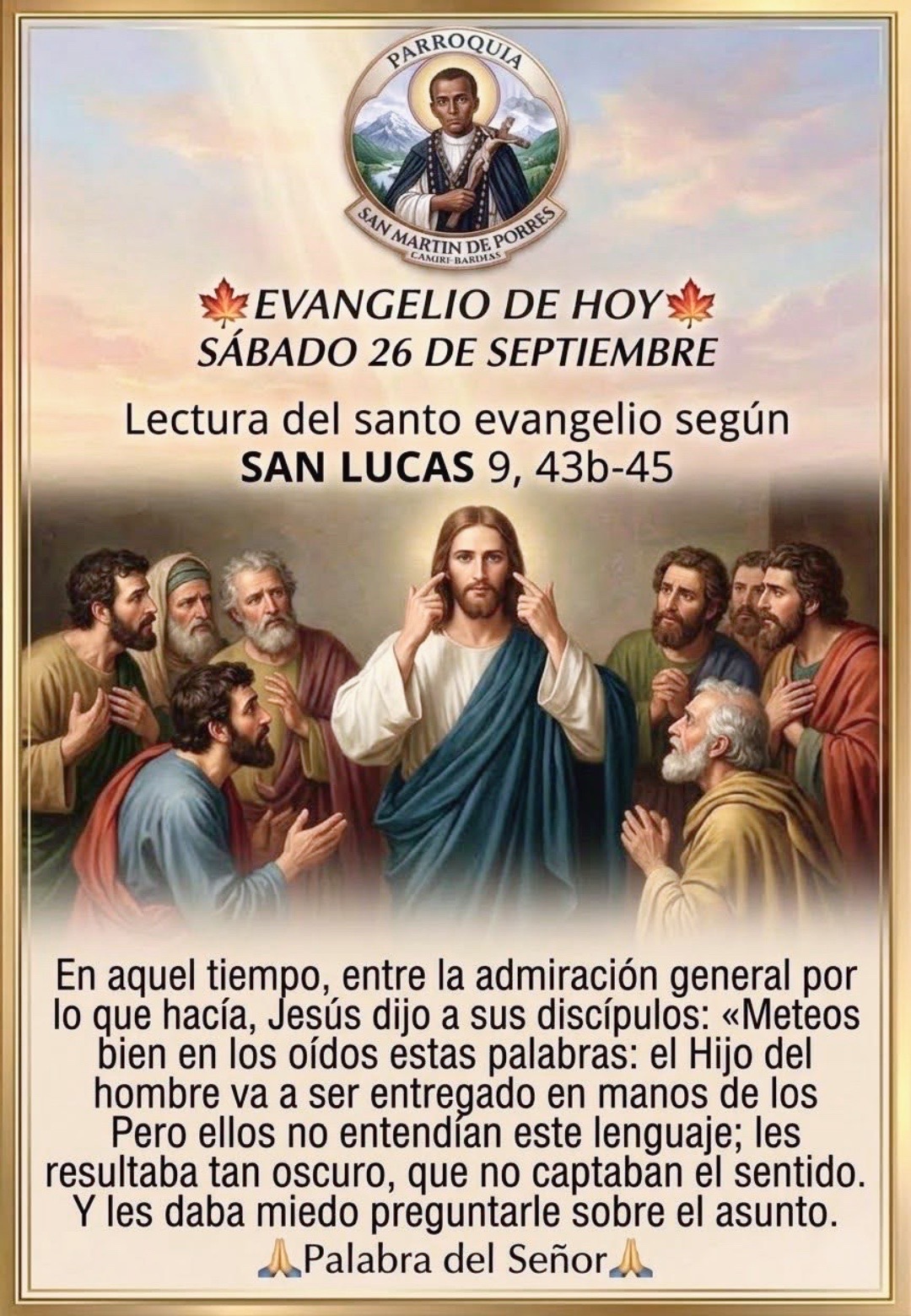 @8luisplaza8