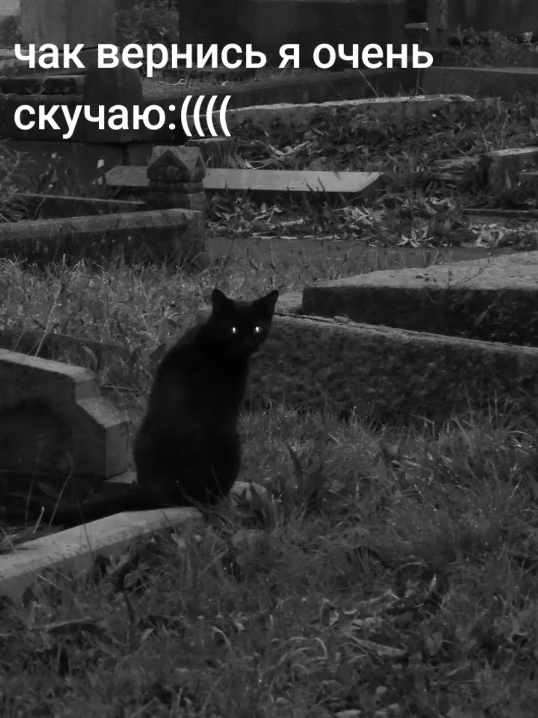 @Ілля Шкварка