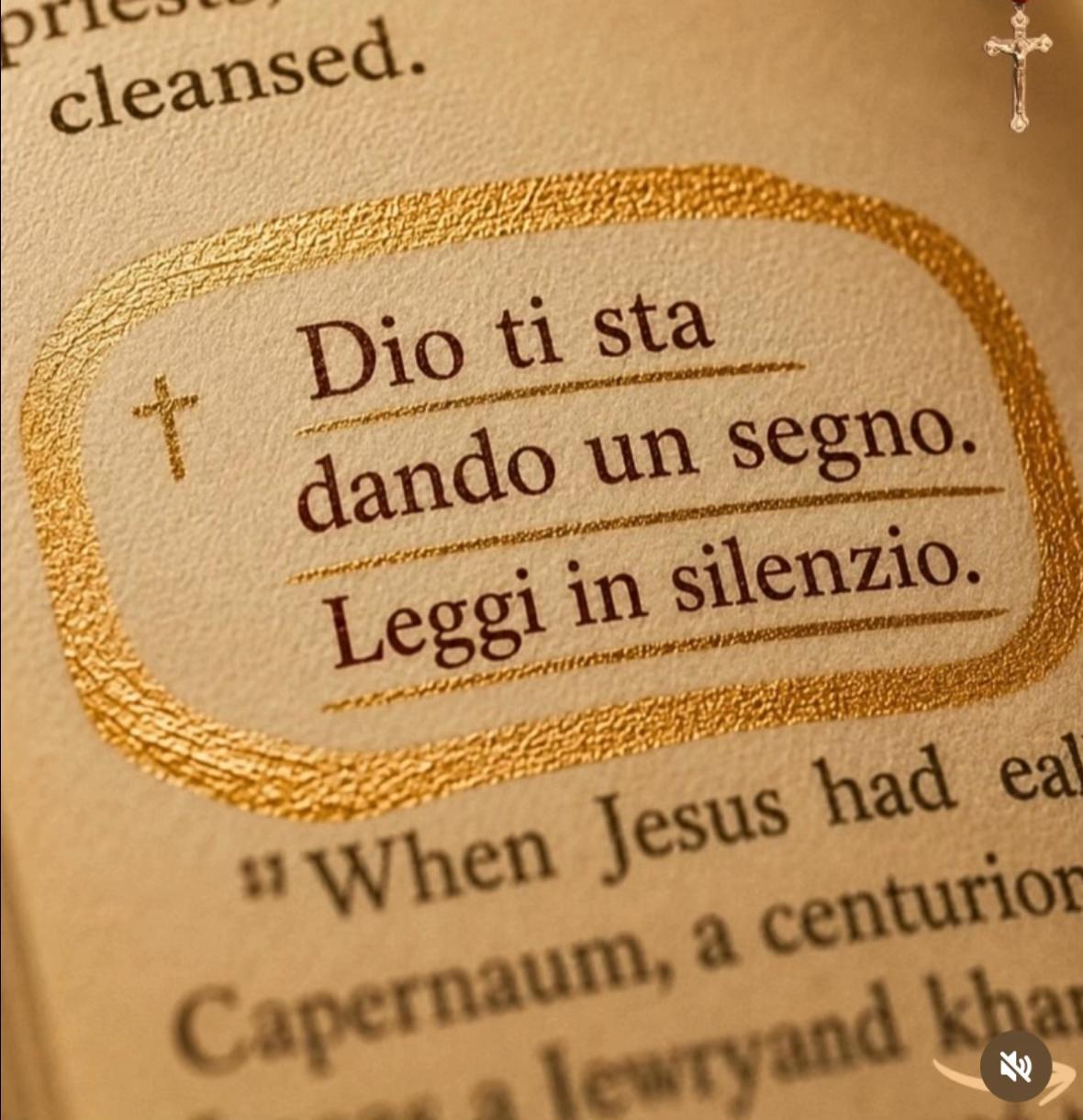 @Lucia tarantino