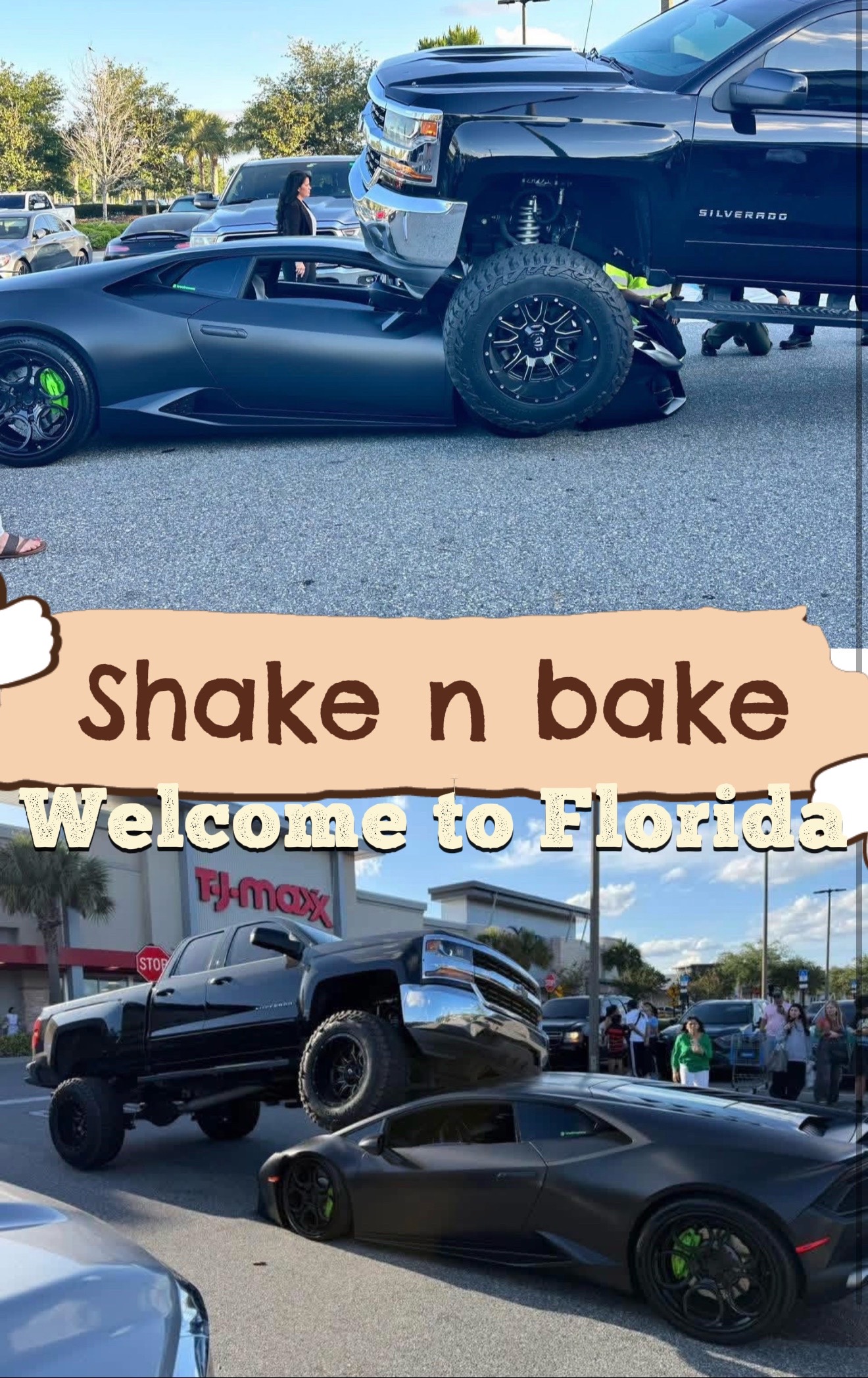 @Bondo and Scout