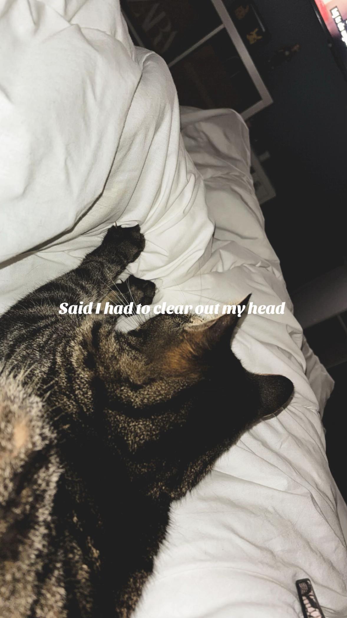 @💚