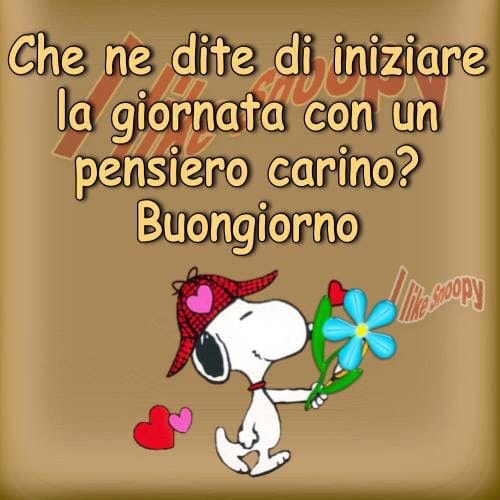 @franco71