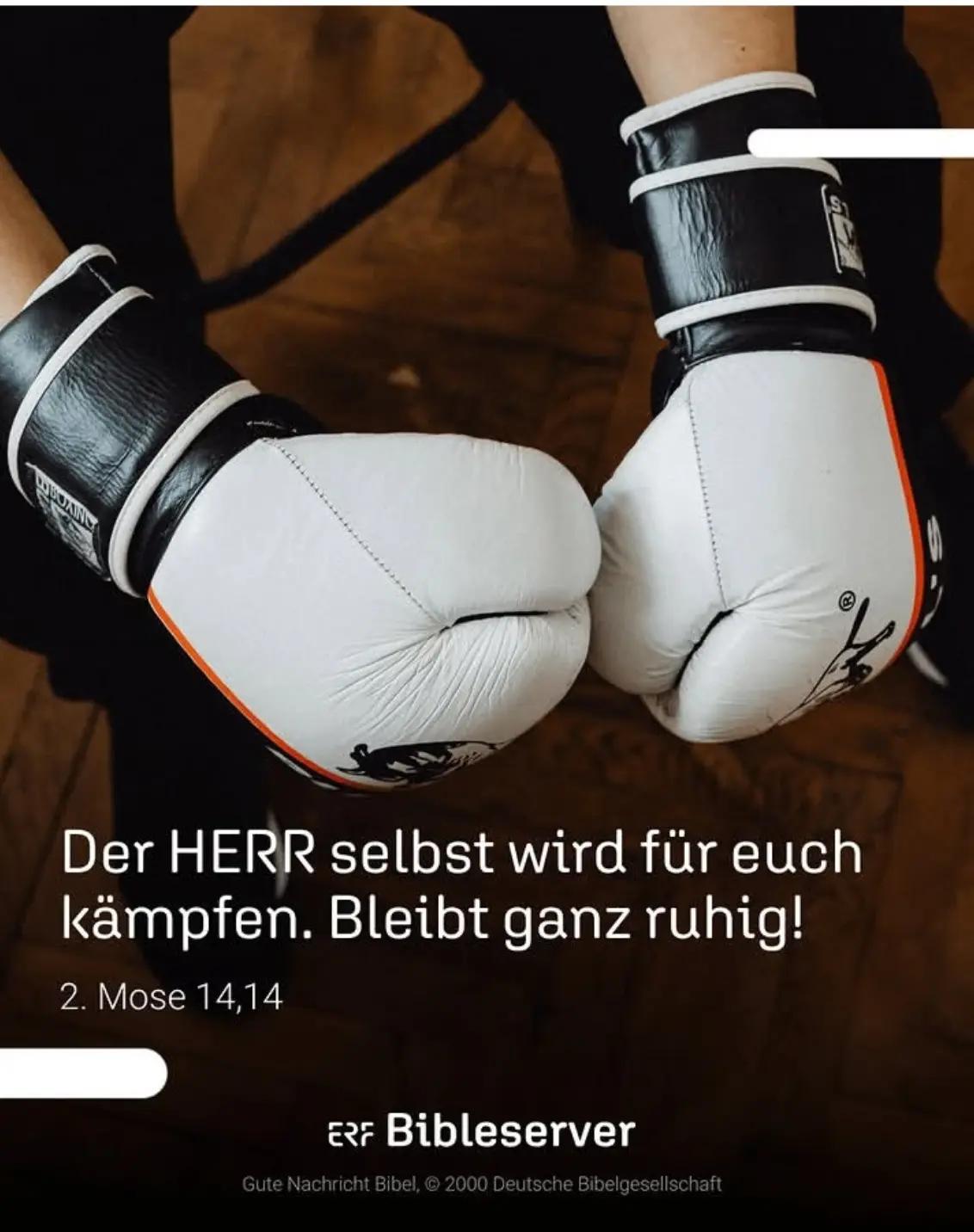 @Martin Geercken