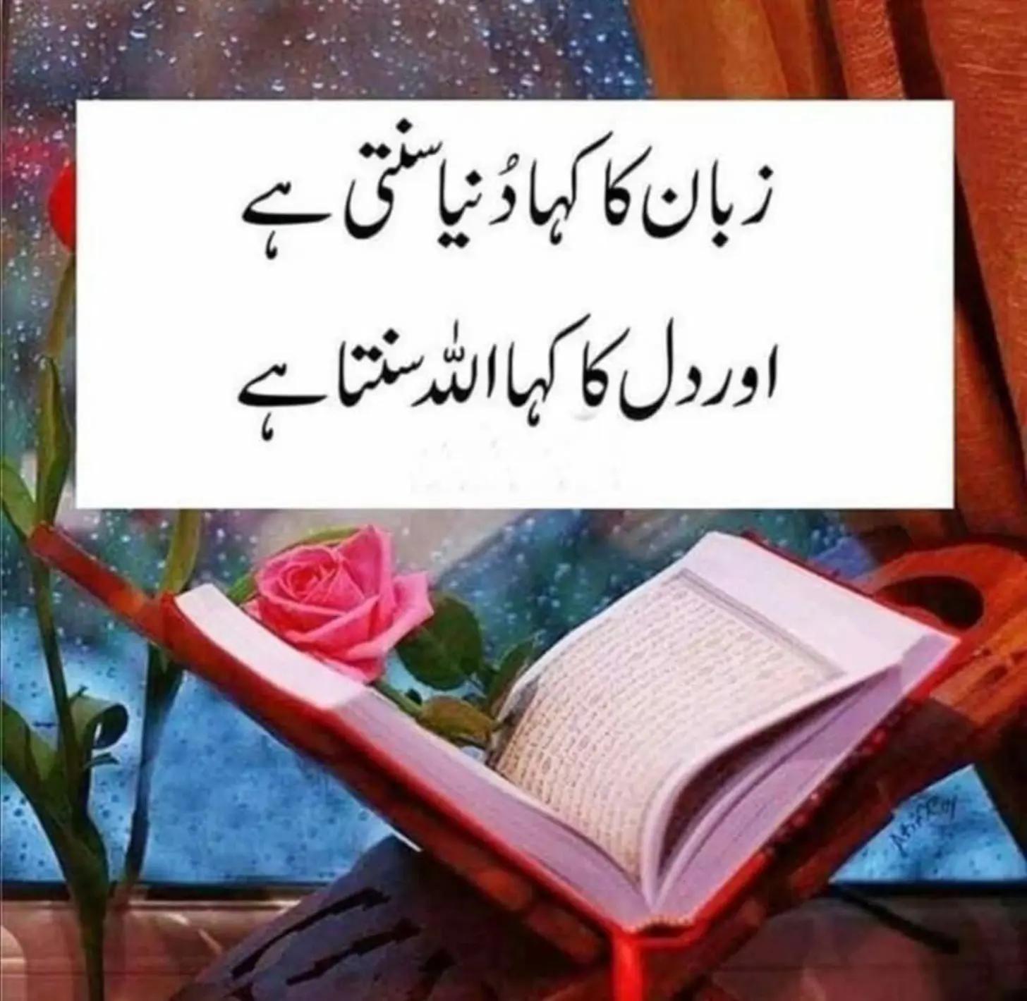 @Shahid Naz 🇮🇹