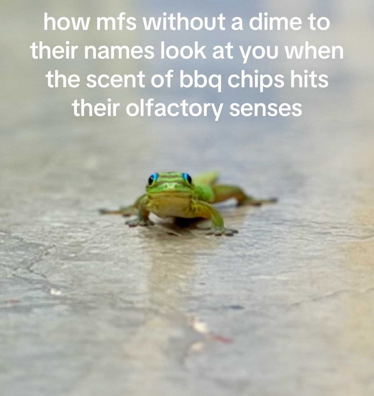 @big T