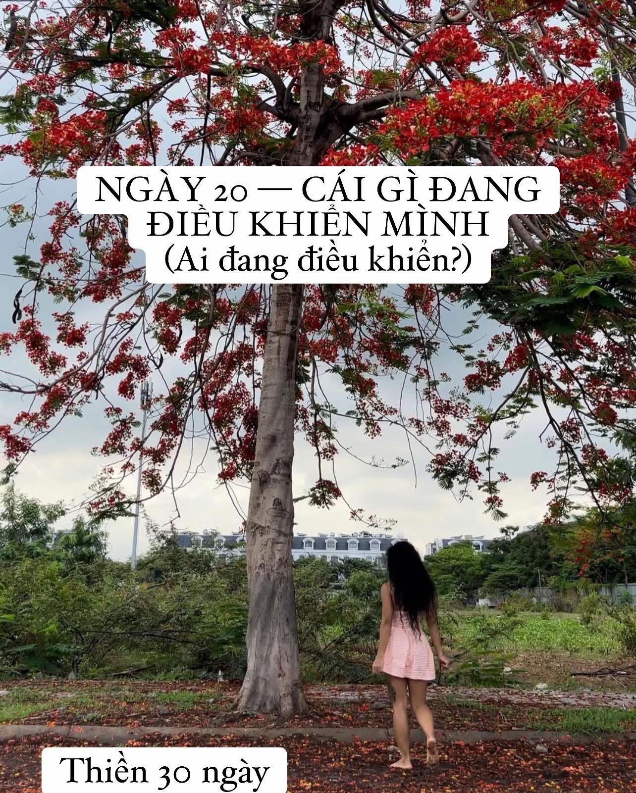 @buihoangbichtho