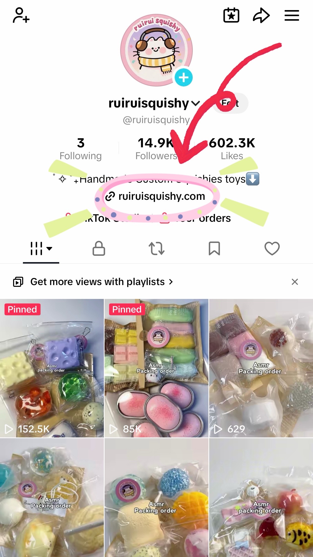 @ruiruisquishy