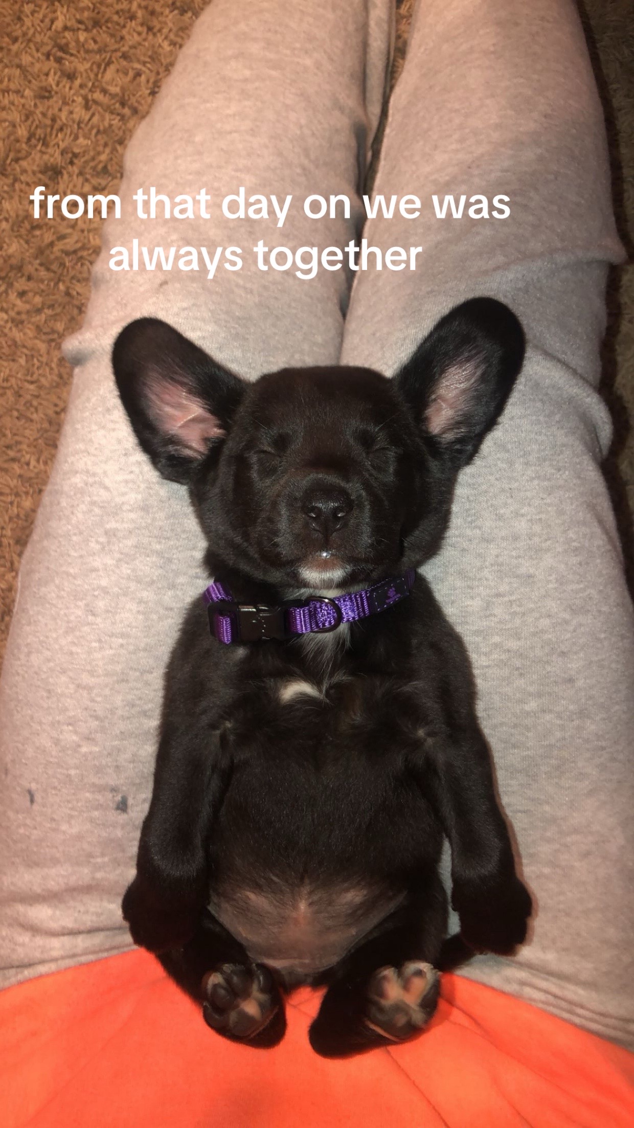 @kamdyn.skinner