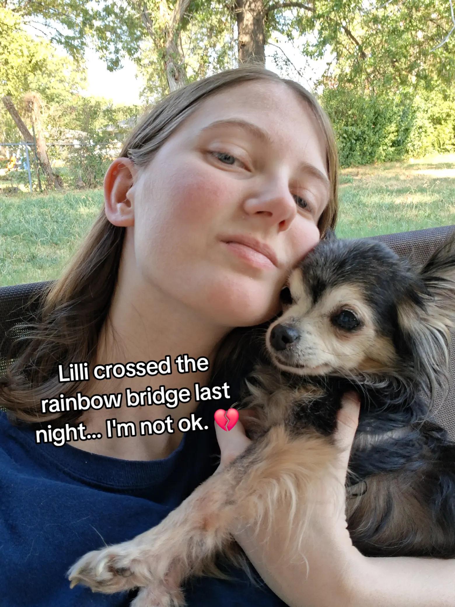 @obsessed_fangirl22
