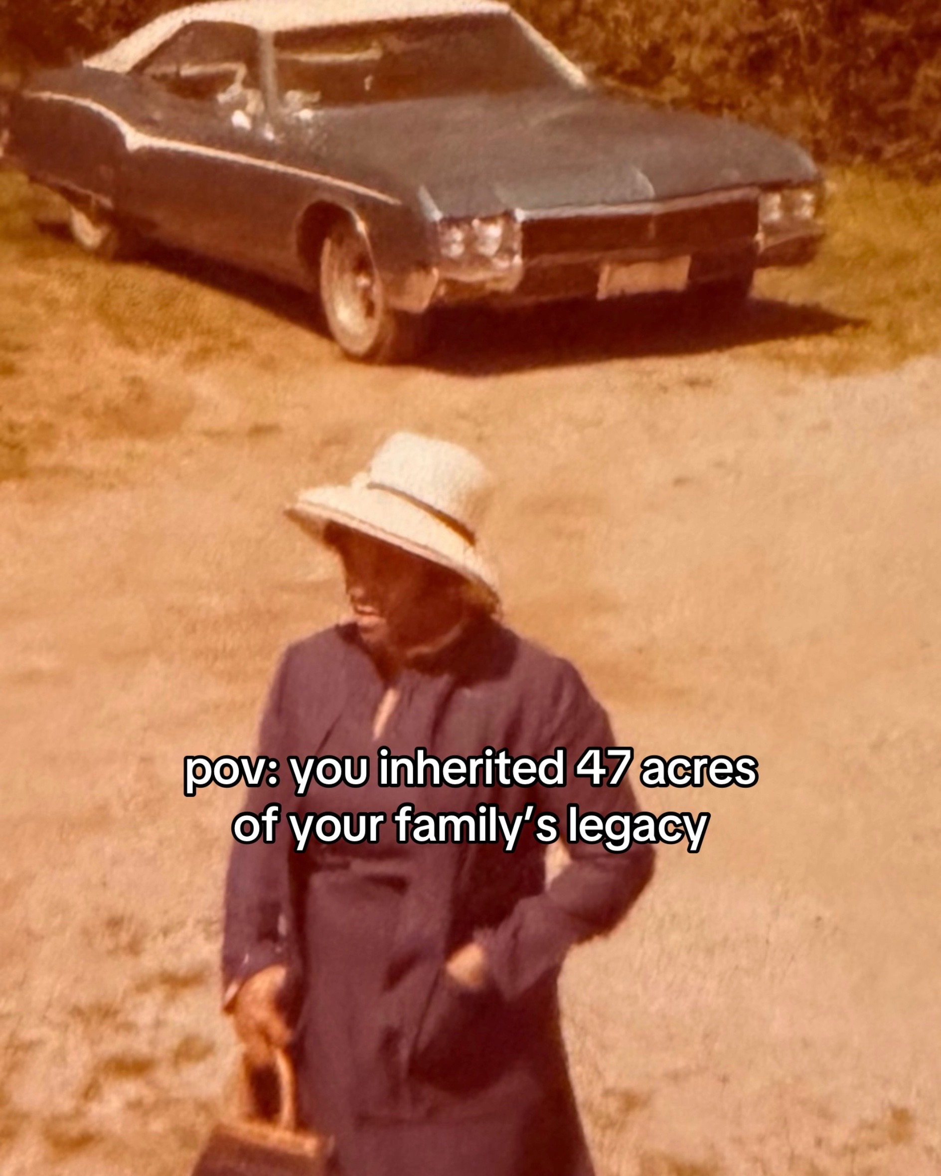 @Dominique Webb