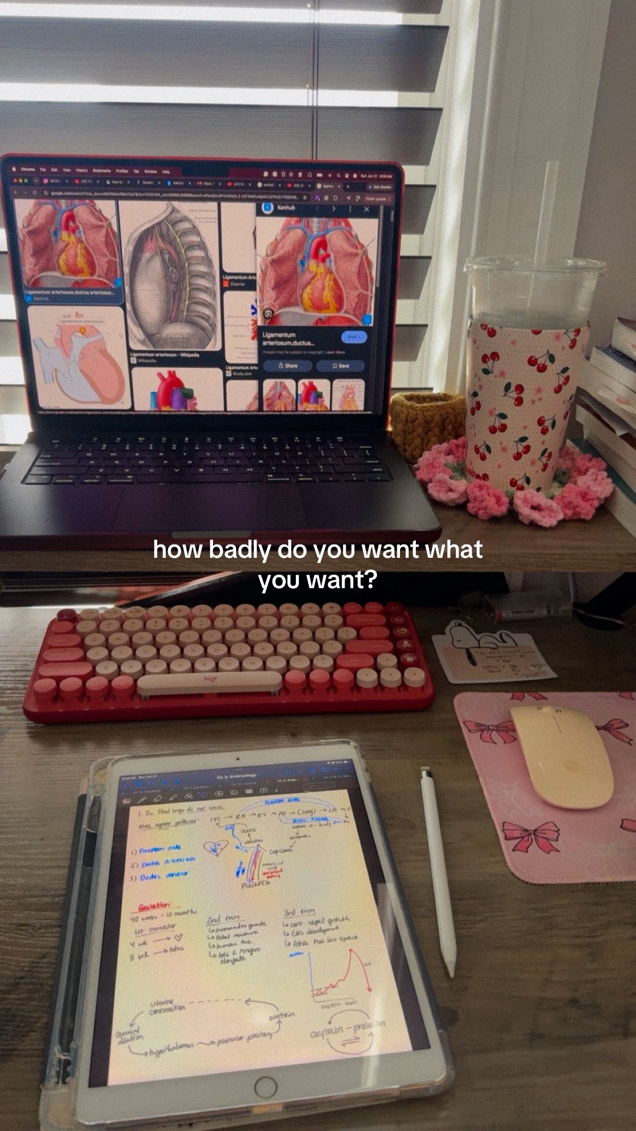 @lindsey ๐ซ๐ค