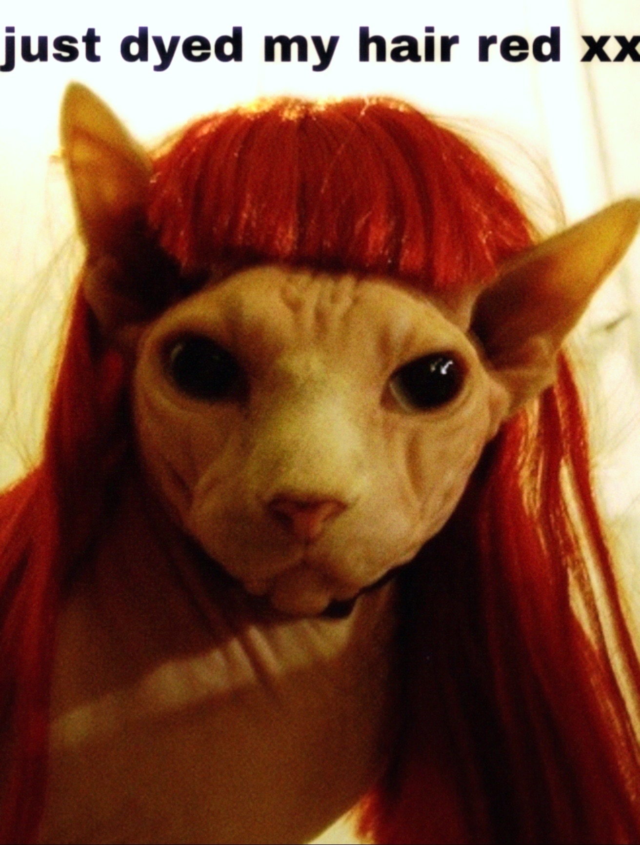@𝔞𝔩𝔢𝔵𝔞𝔫𝔡𝔯𝔞𓉸ྀི